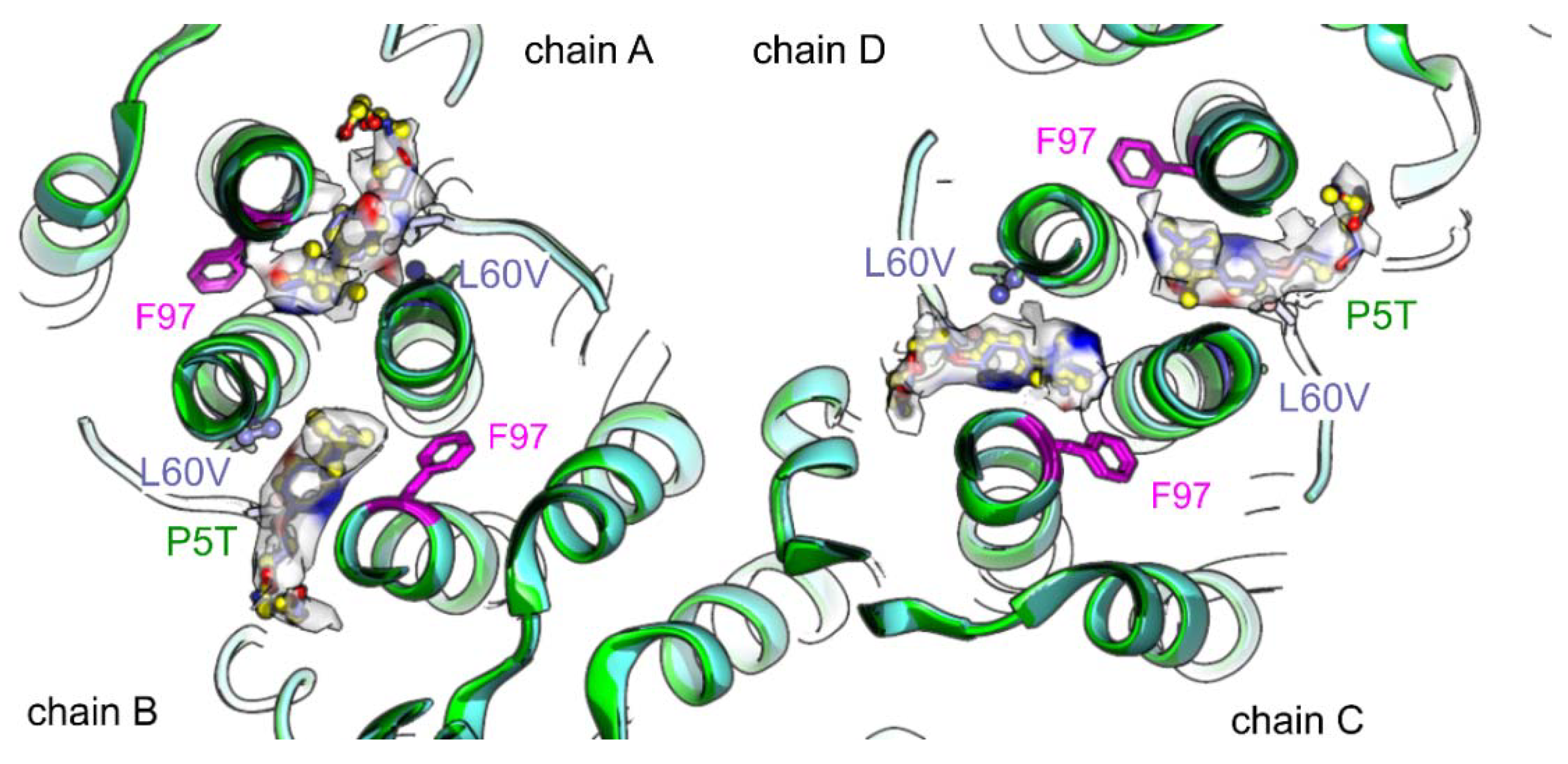 Viruses 13 02115 g007