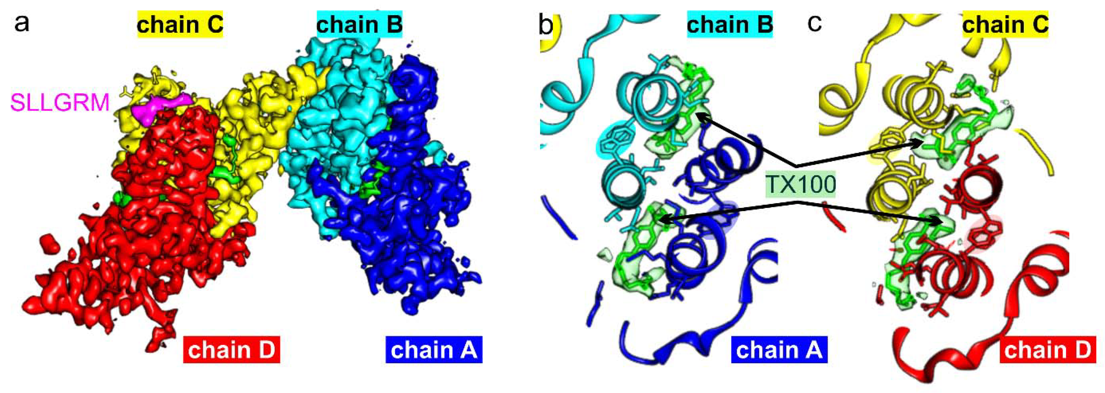 Viruses 13 02115 g008