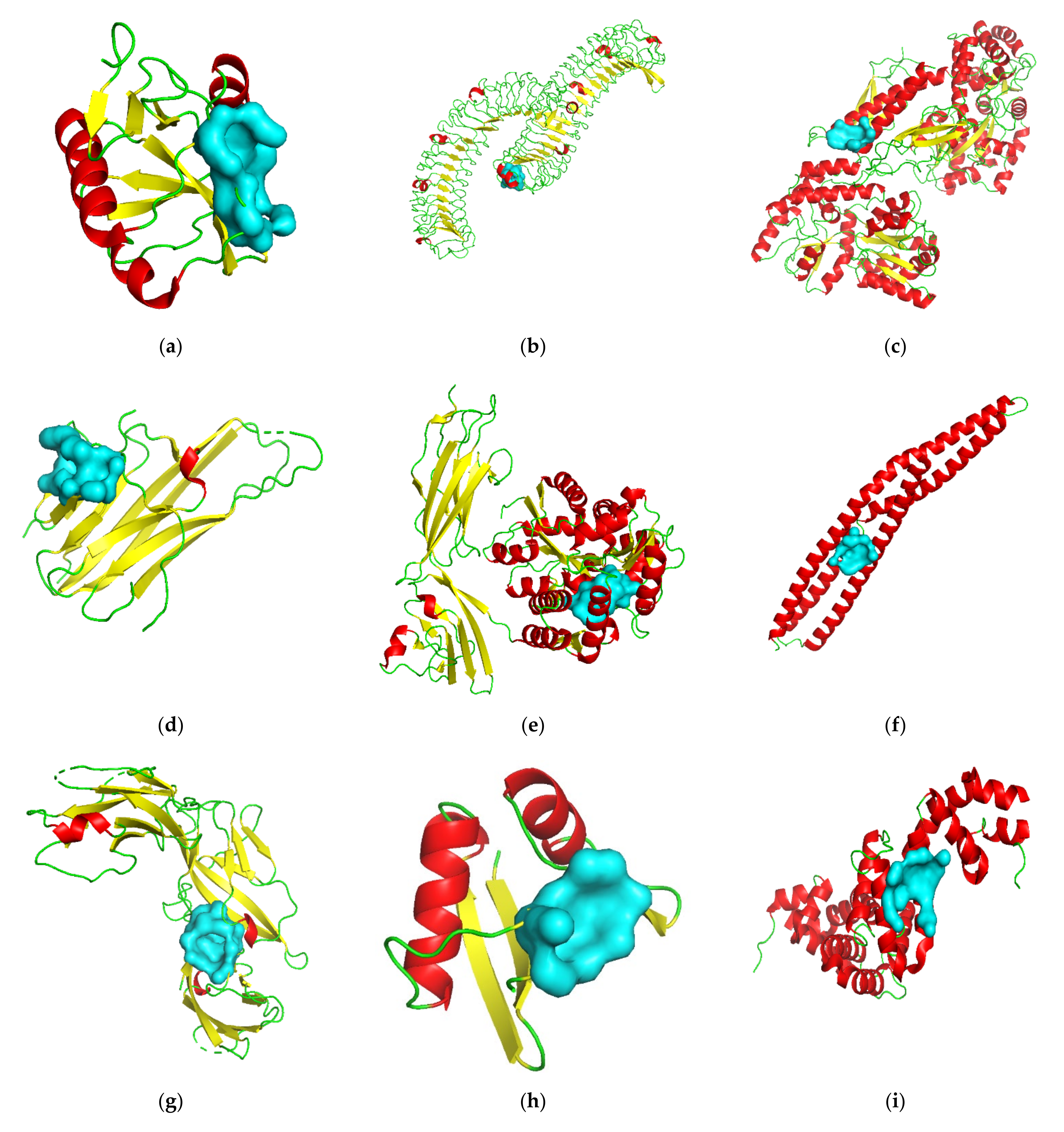 Viruses 13 02117 g003a
