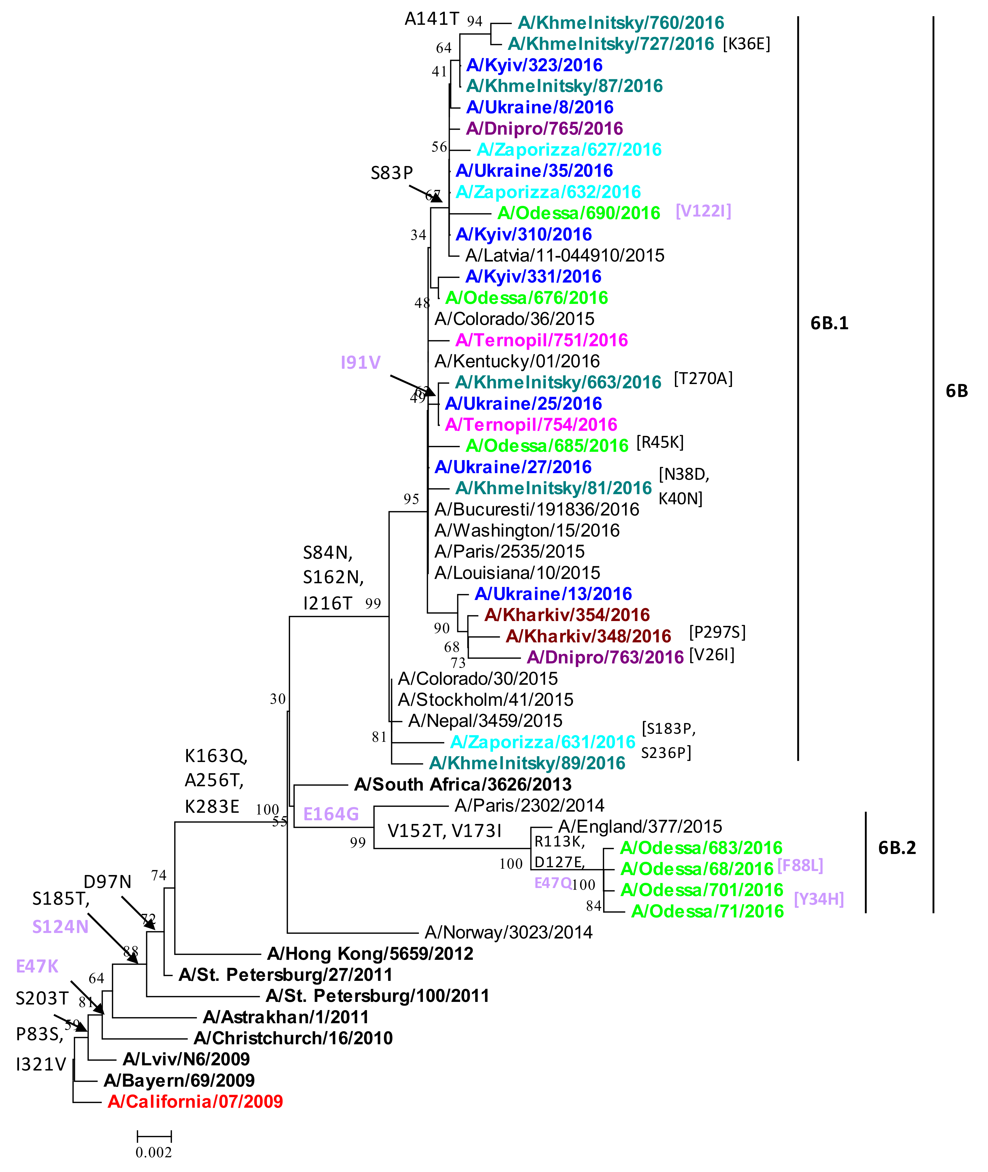 Viruses 13 02125 g002