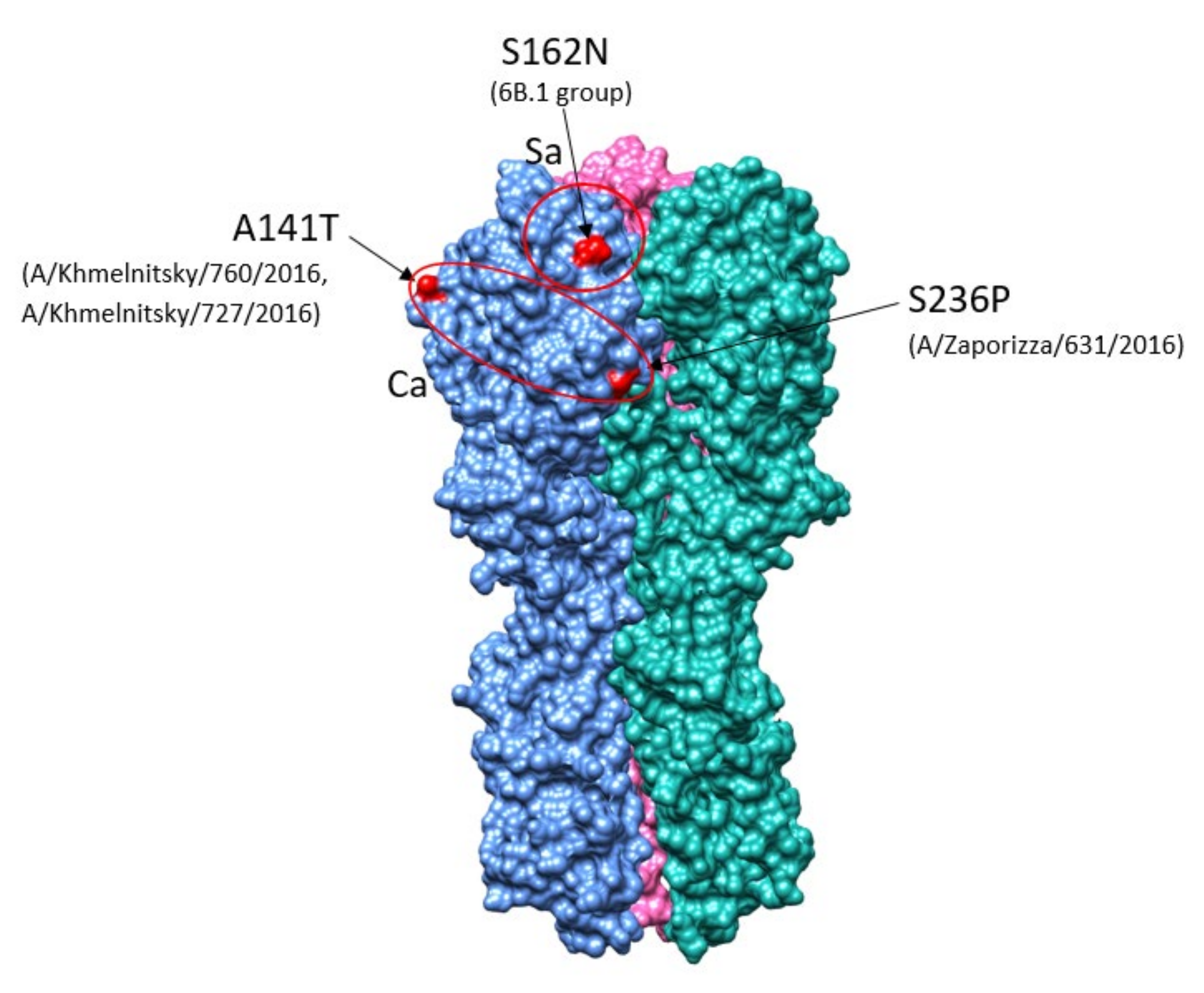 Viruses 13 02125 g004