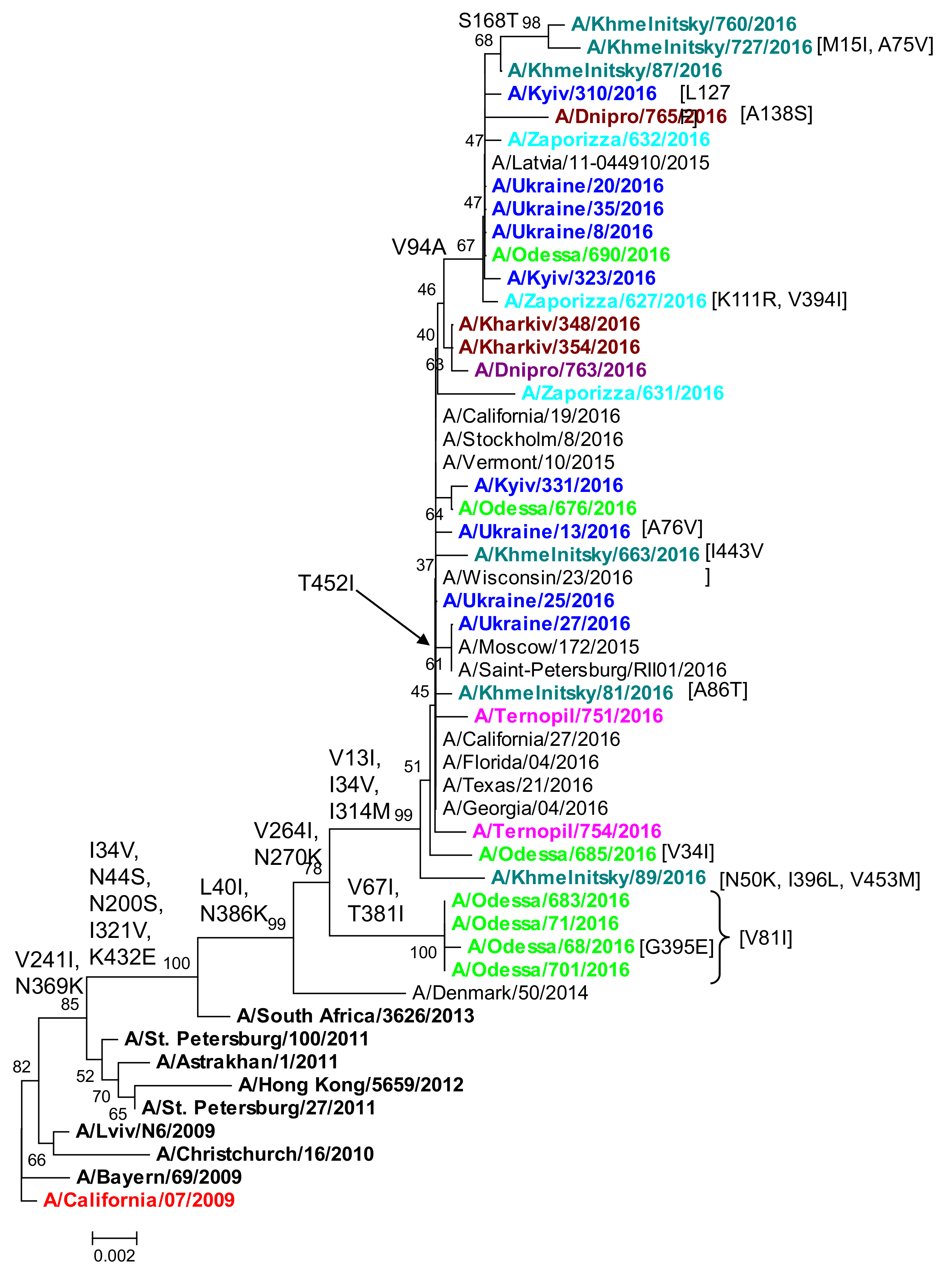 Viruses 13 02125 g005