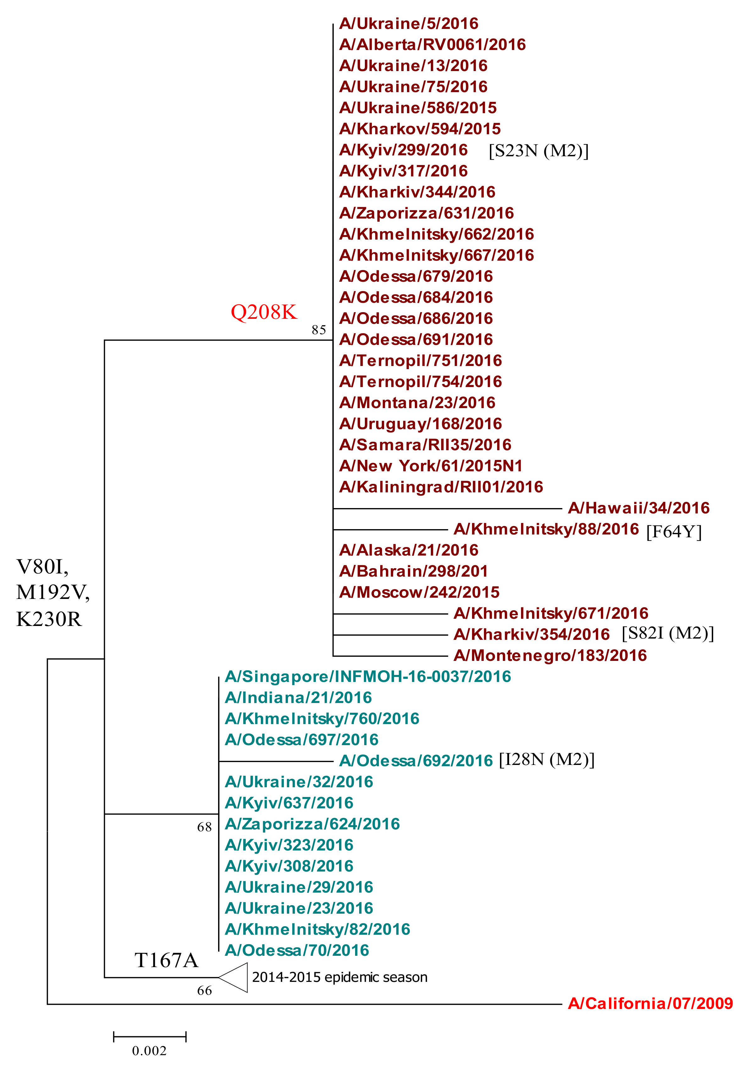 Viruses 13 02125 g006