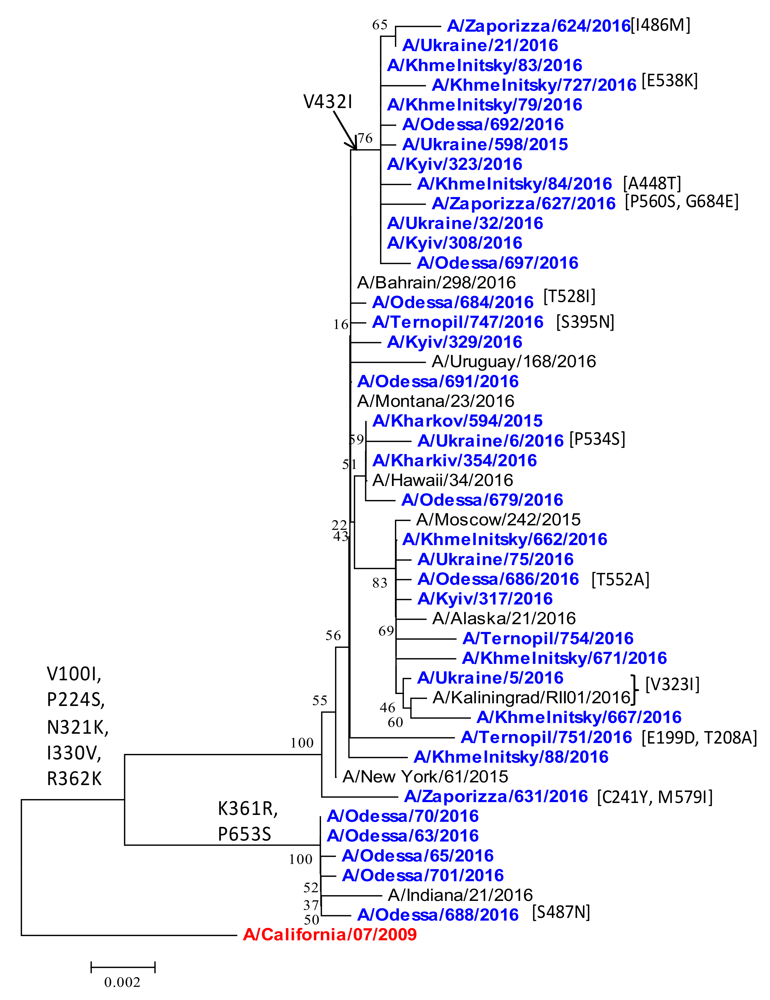 Viruses 13 02125 g010