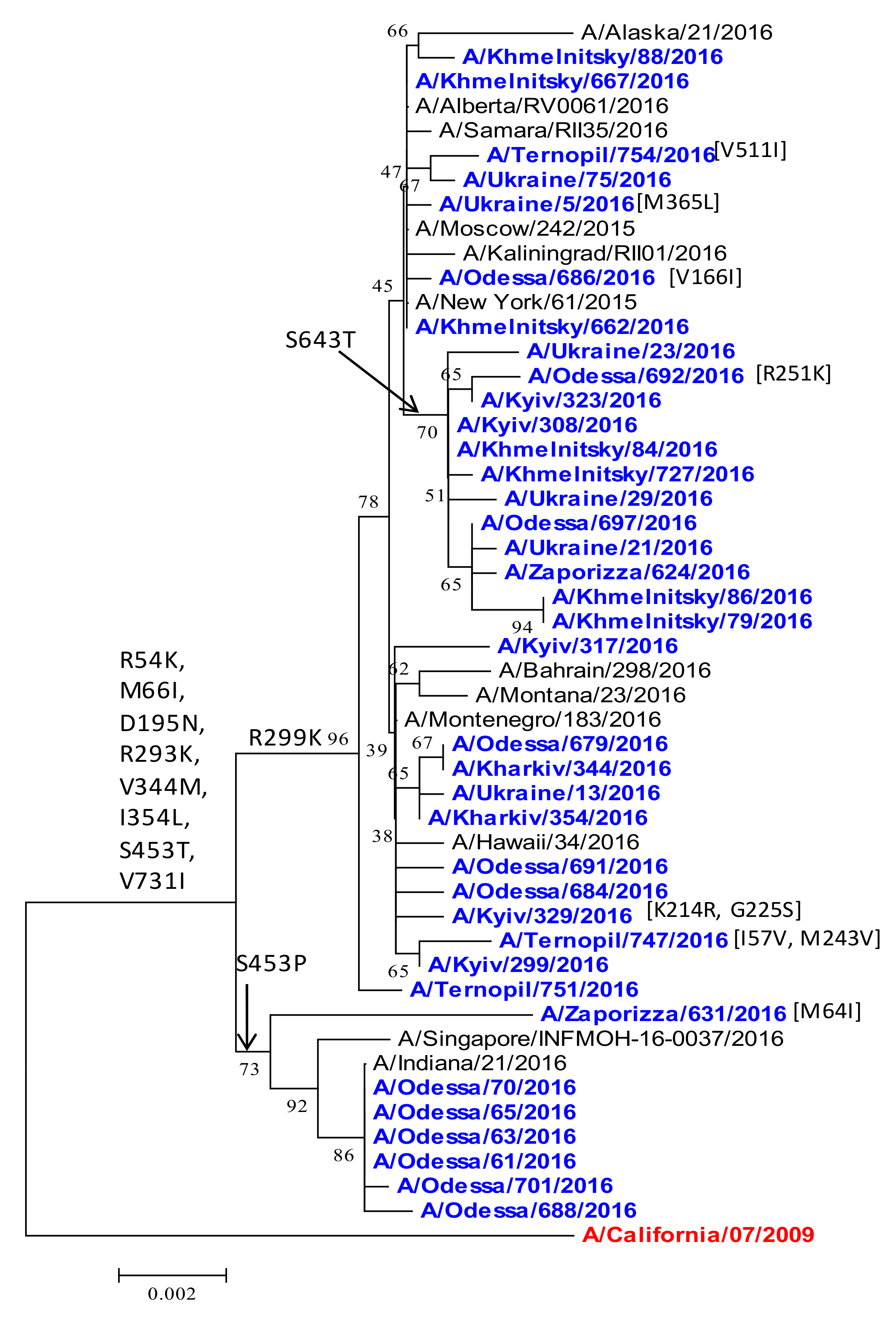 Viruses 13 02125 g011