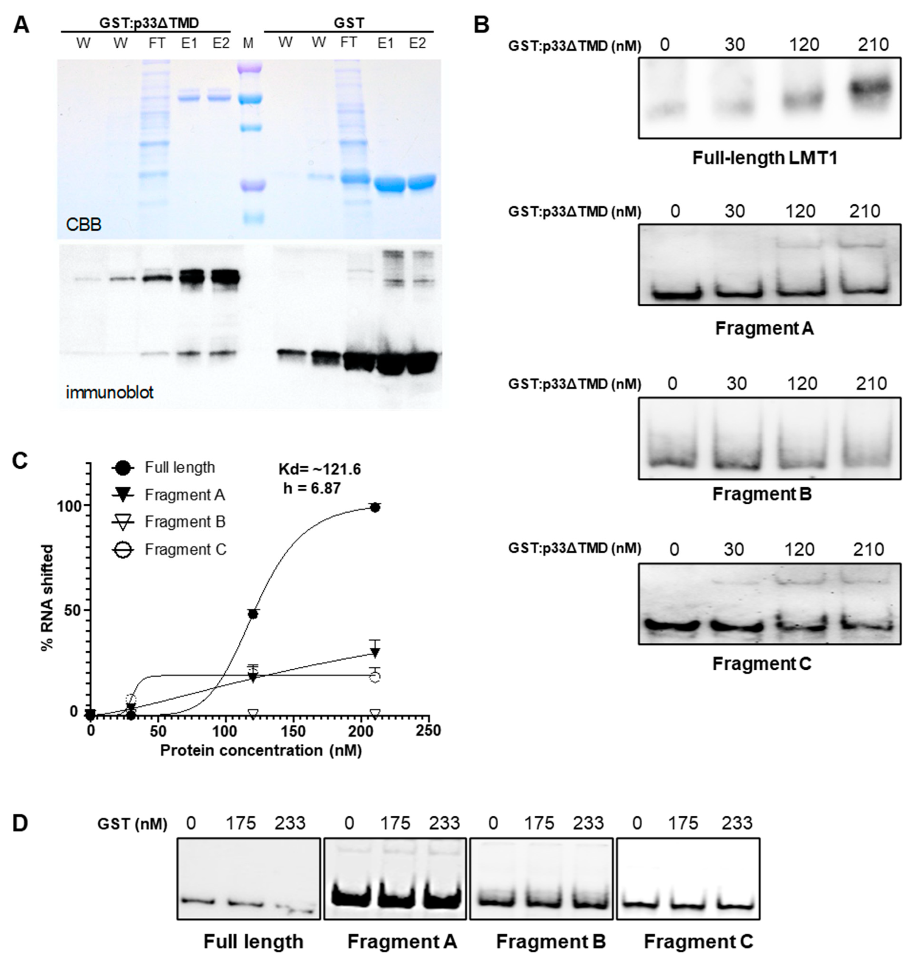 Viruses 13 02129 g005