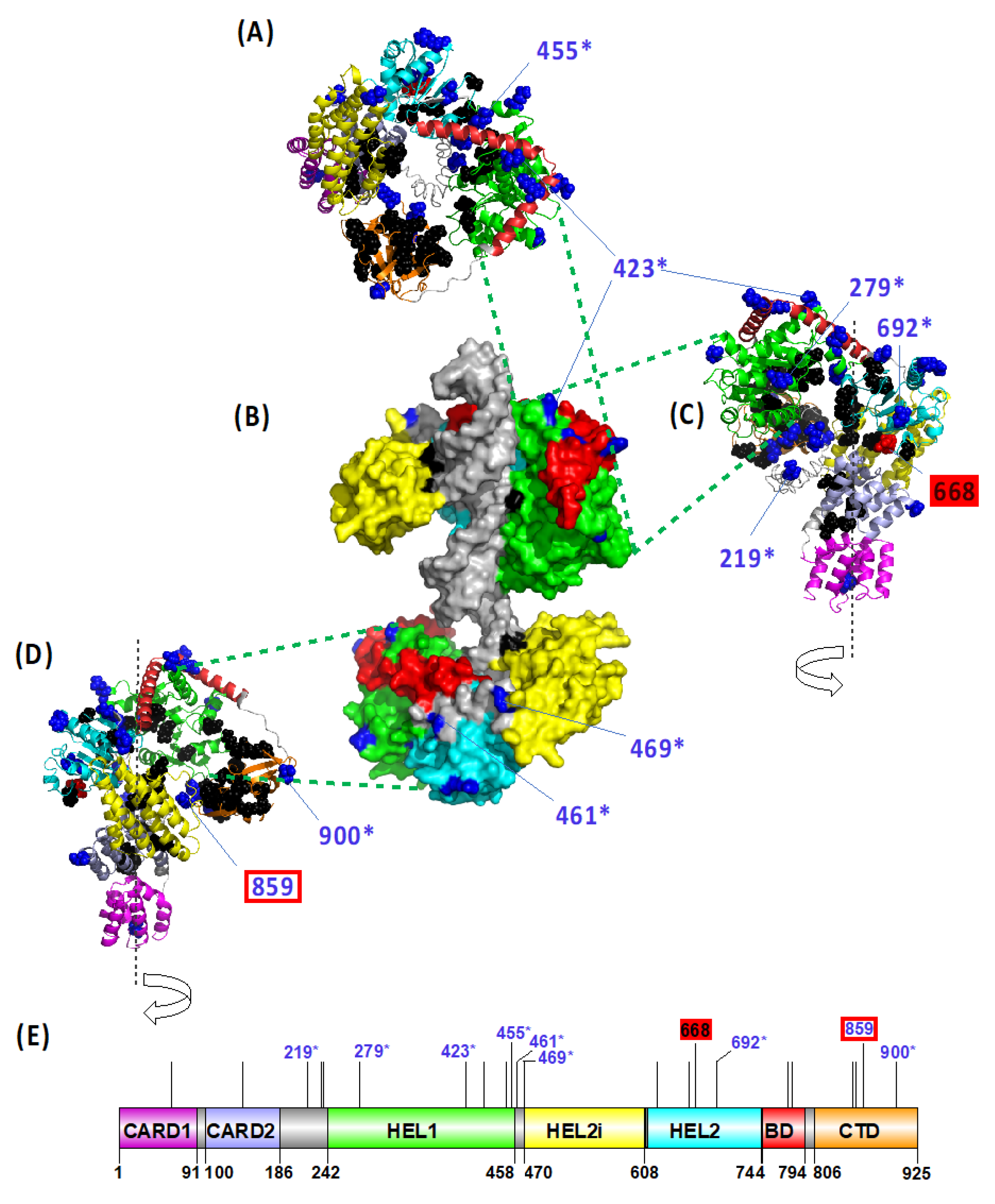 Viruses 13 02131 g004