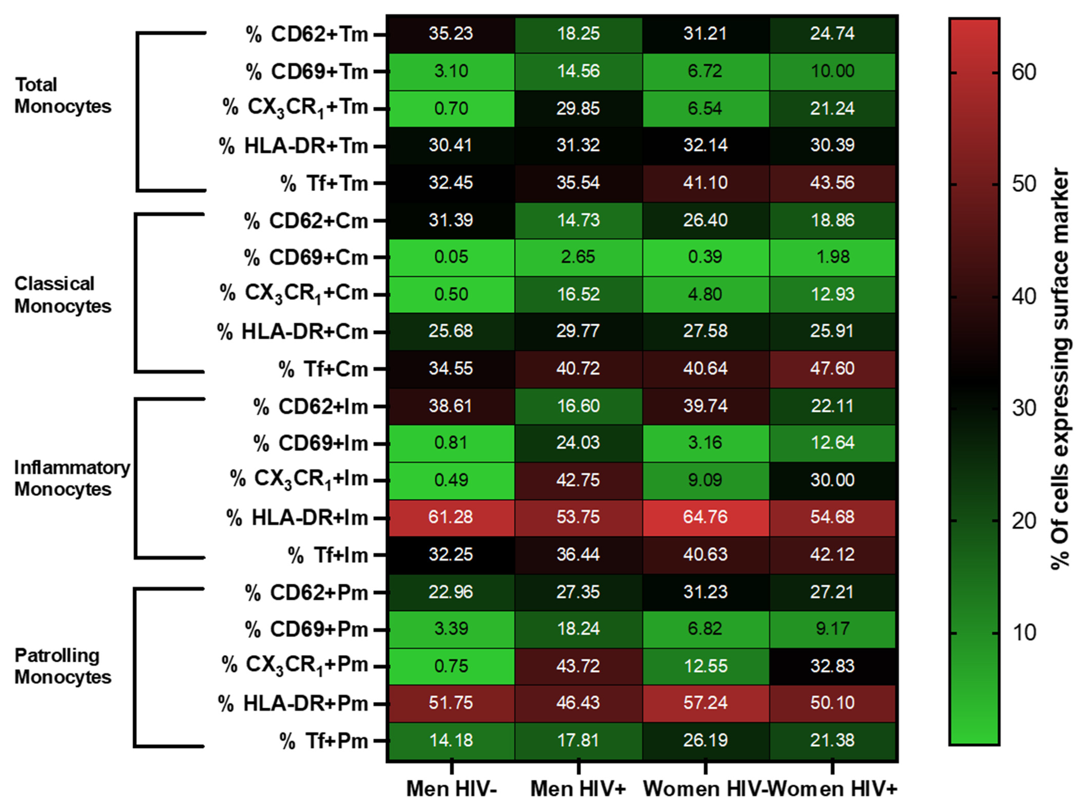 Viruses 13 02135 g002