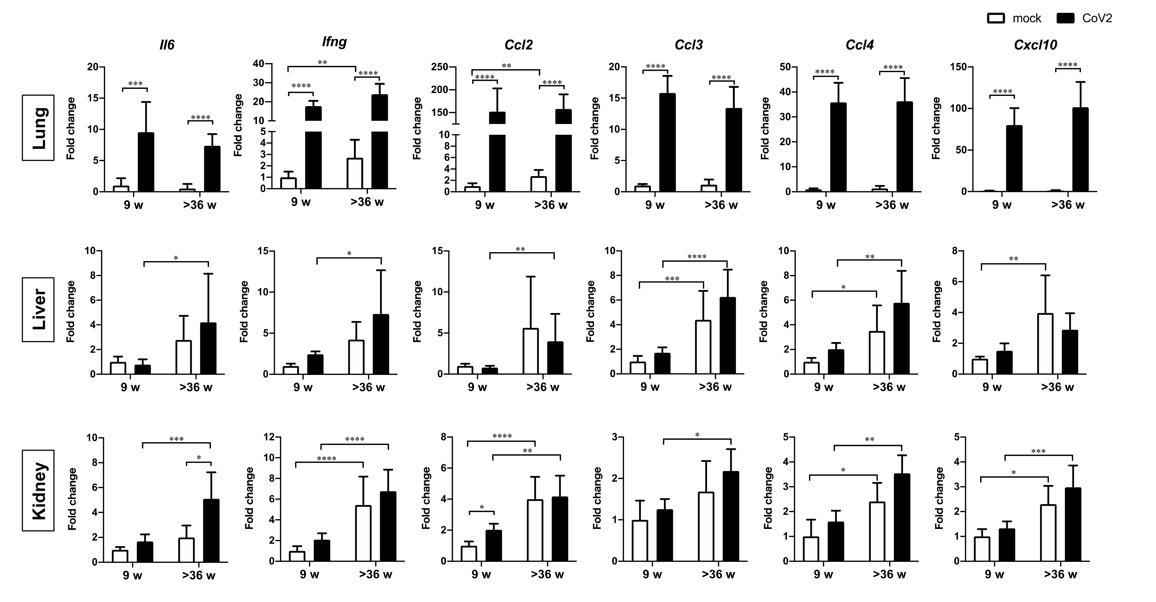 Viruses 13 02137 g003