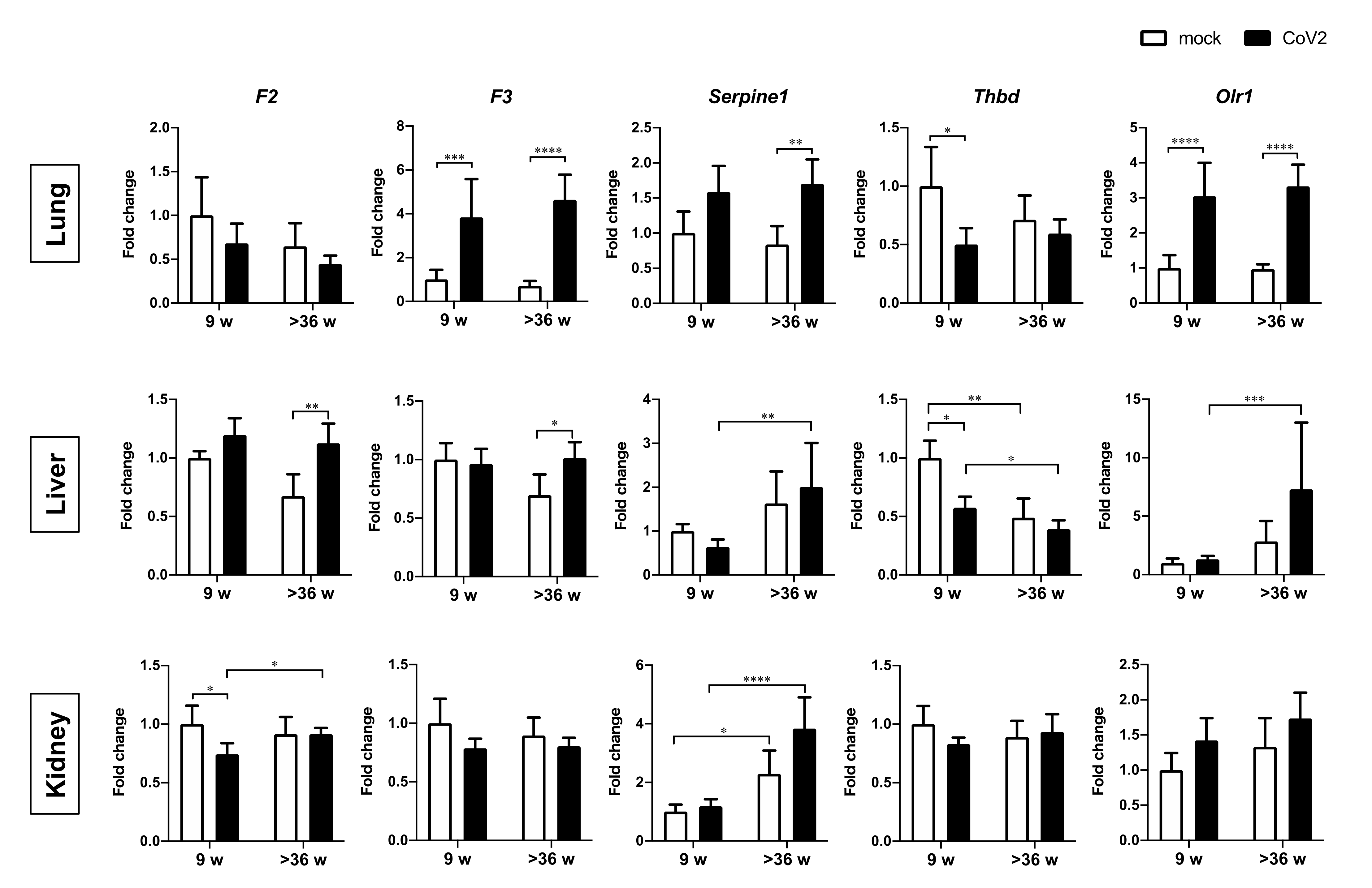 Viruses 13 02137 g004