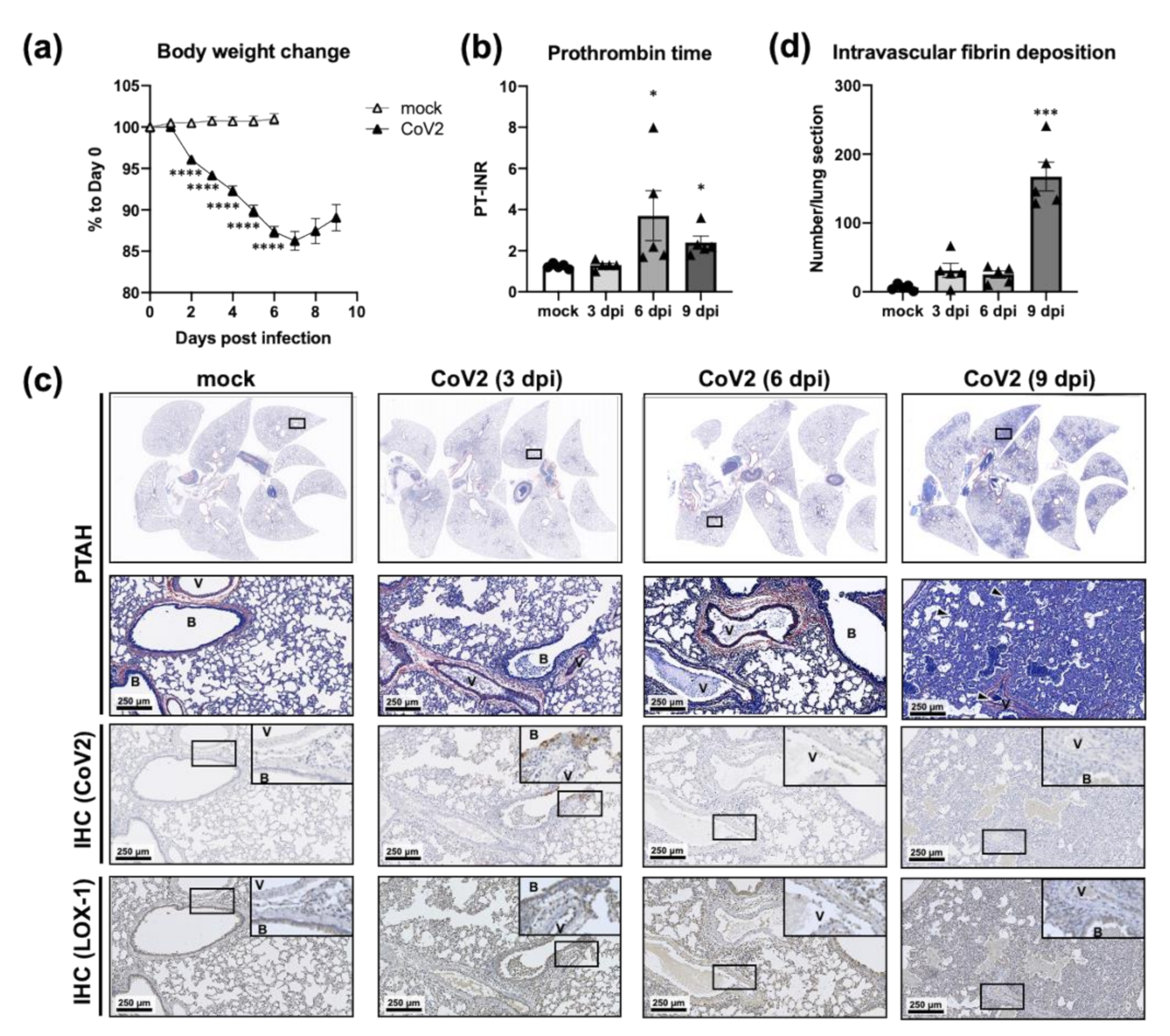 Viruses 13 02137 g006