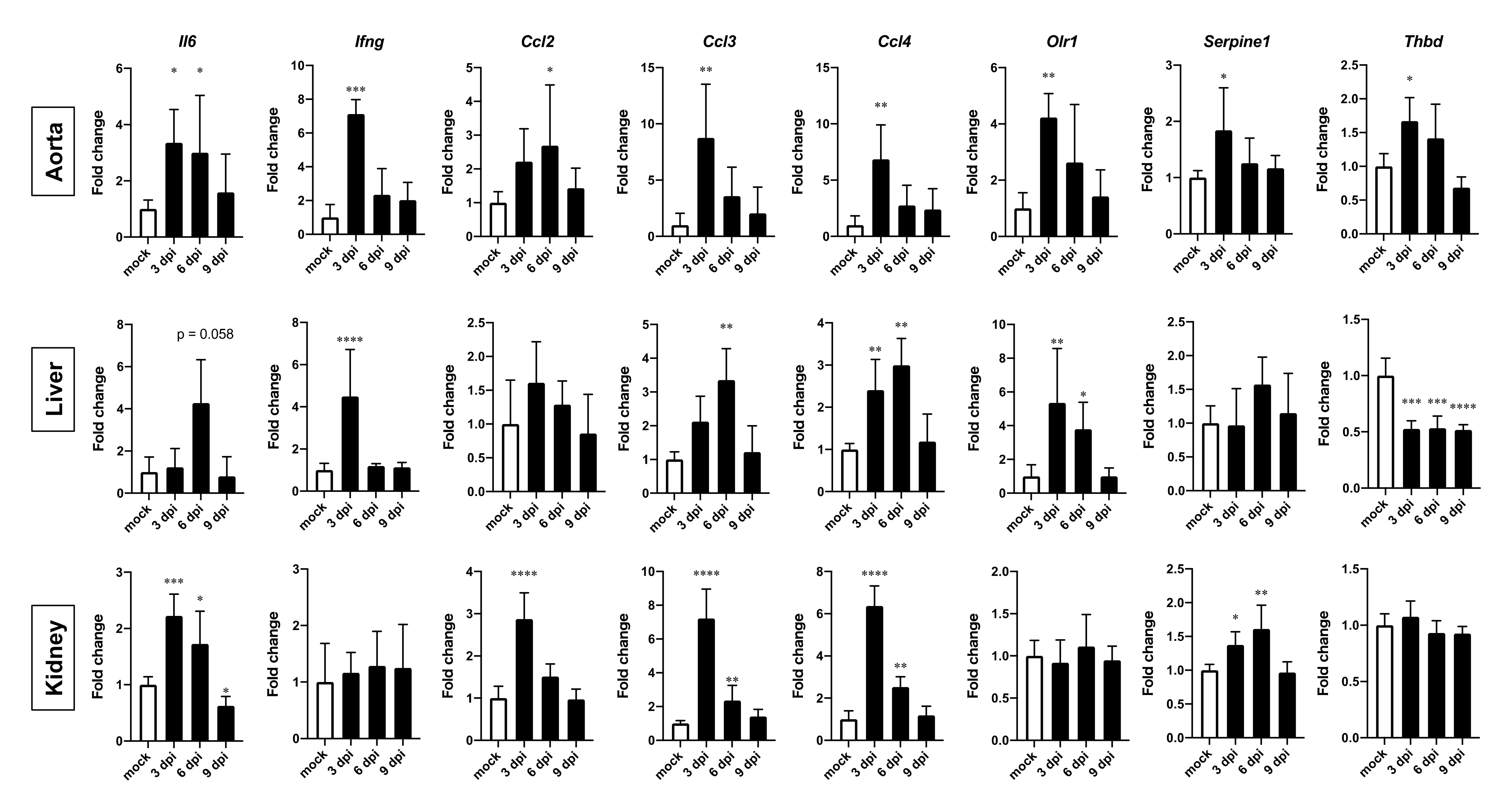 Viruses 13 02137 g007