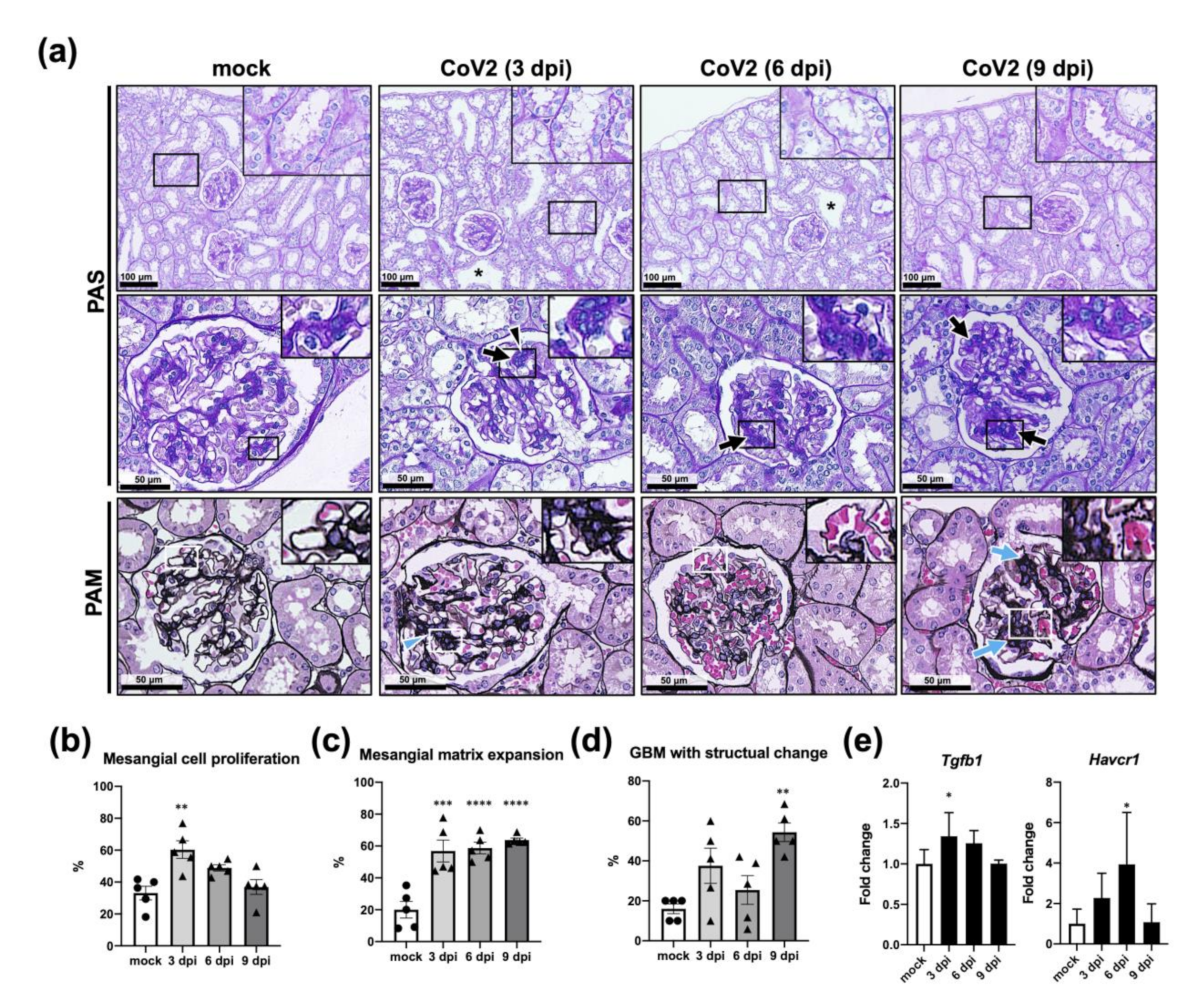 Viruses 13 02137 g008
