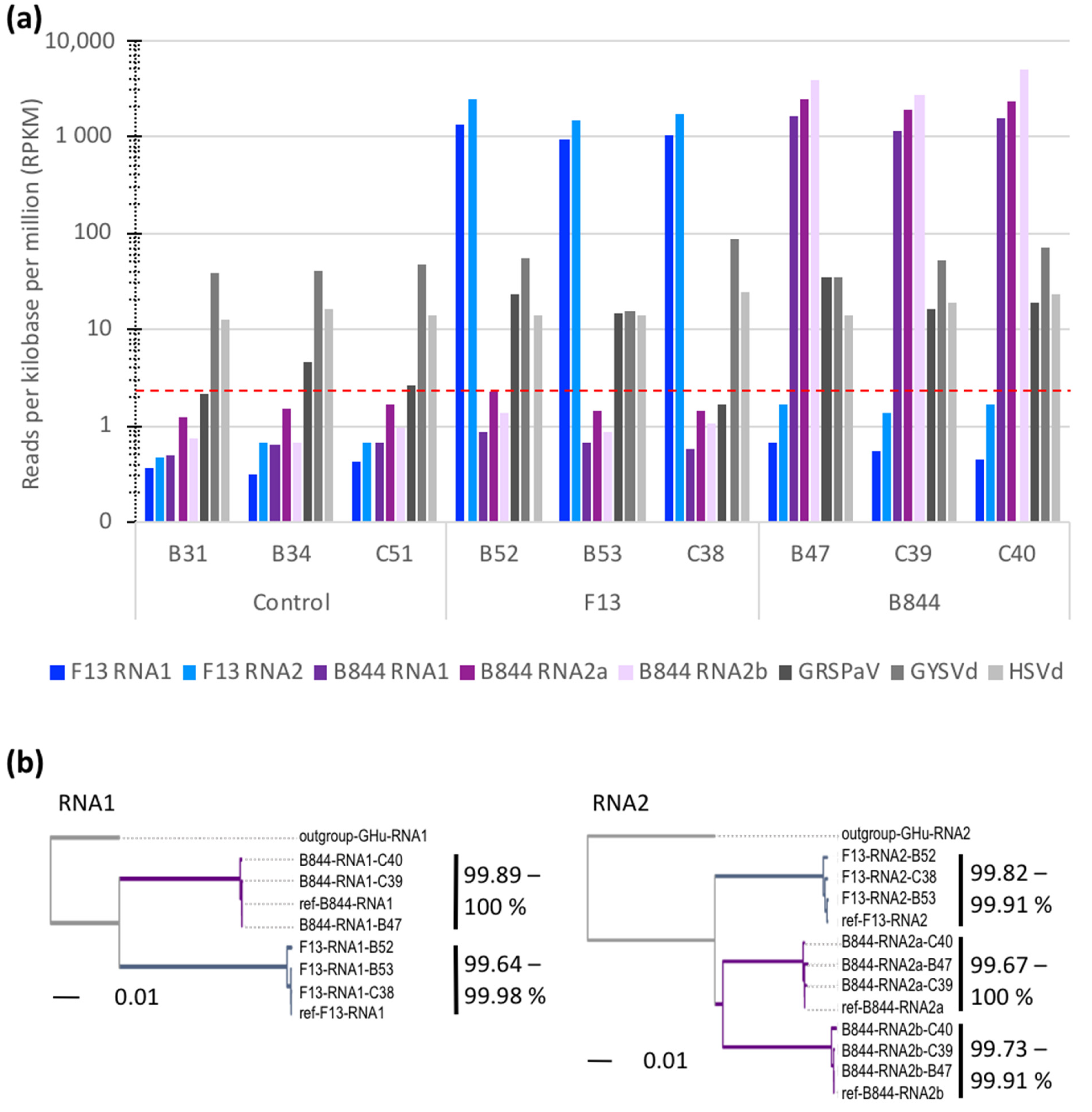 Viruses 13 02138 g003