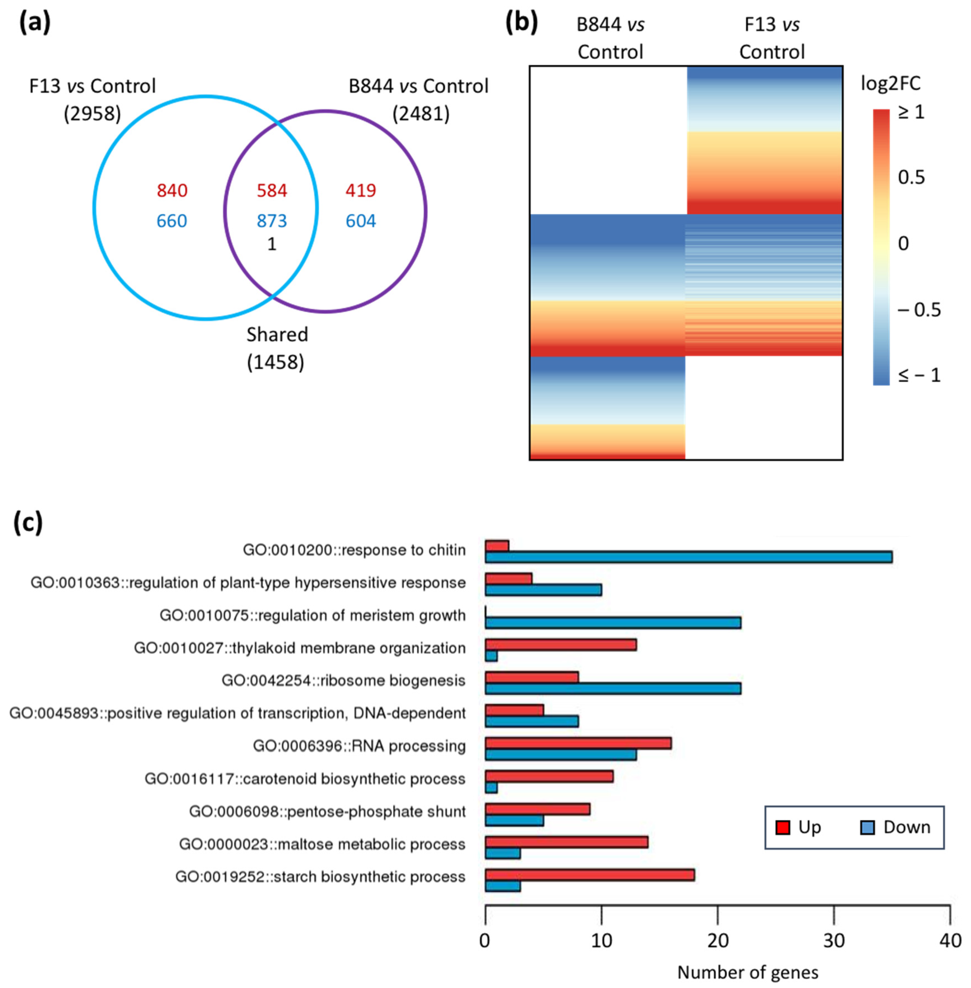 Viruses 13 02138 g005