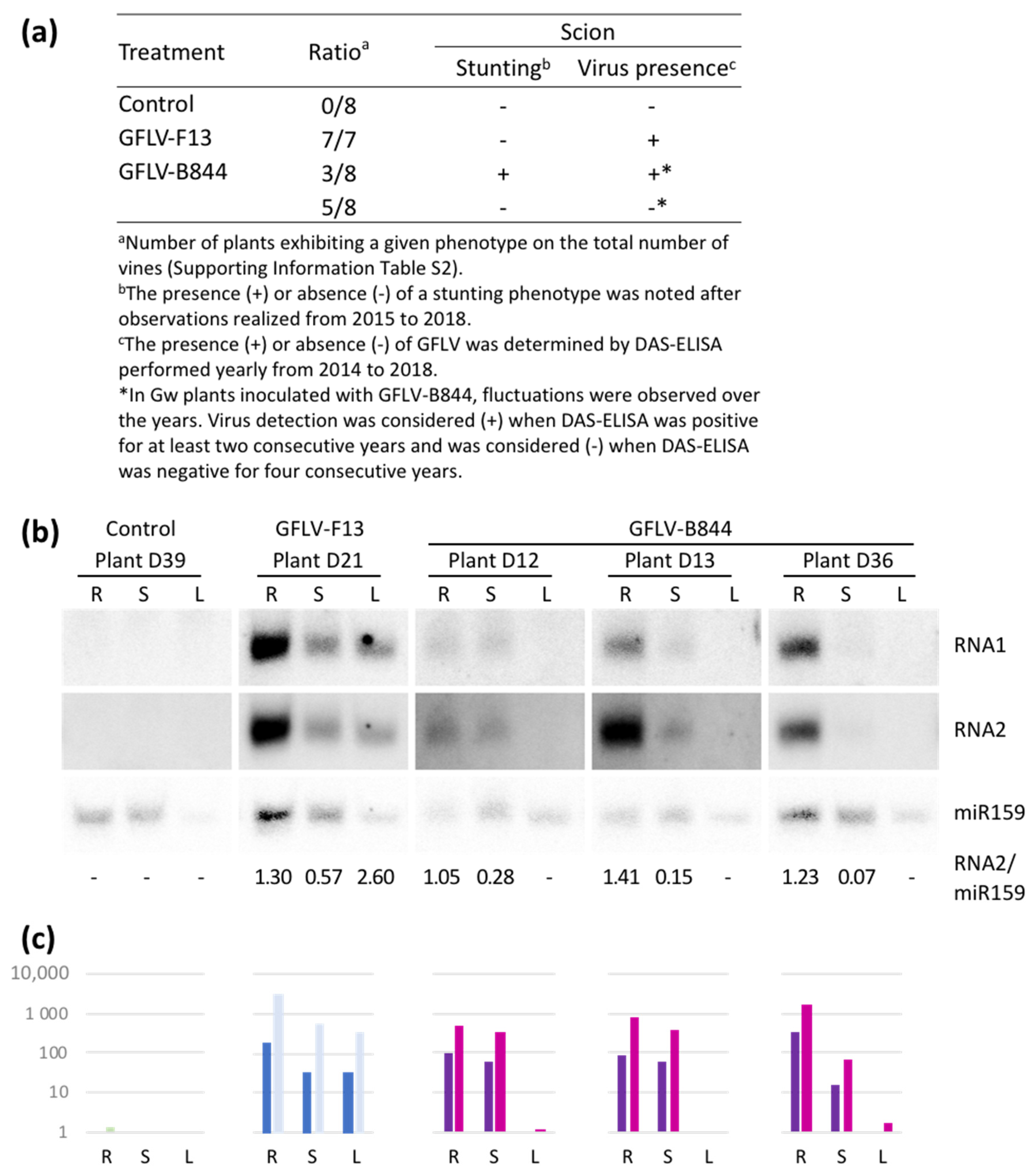 Viruses 13 02138 g008