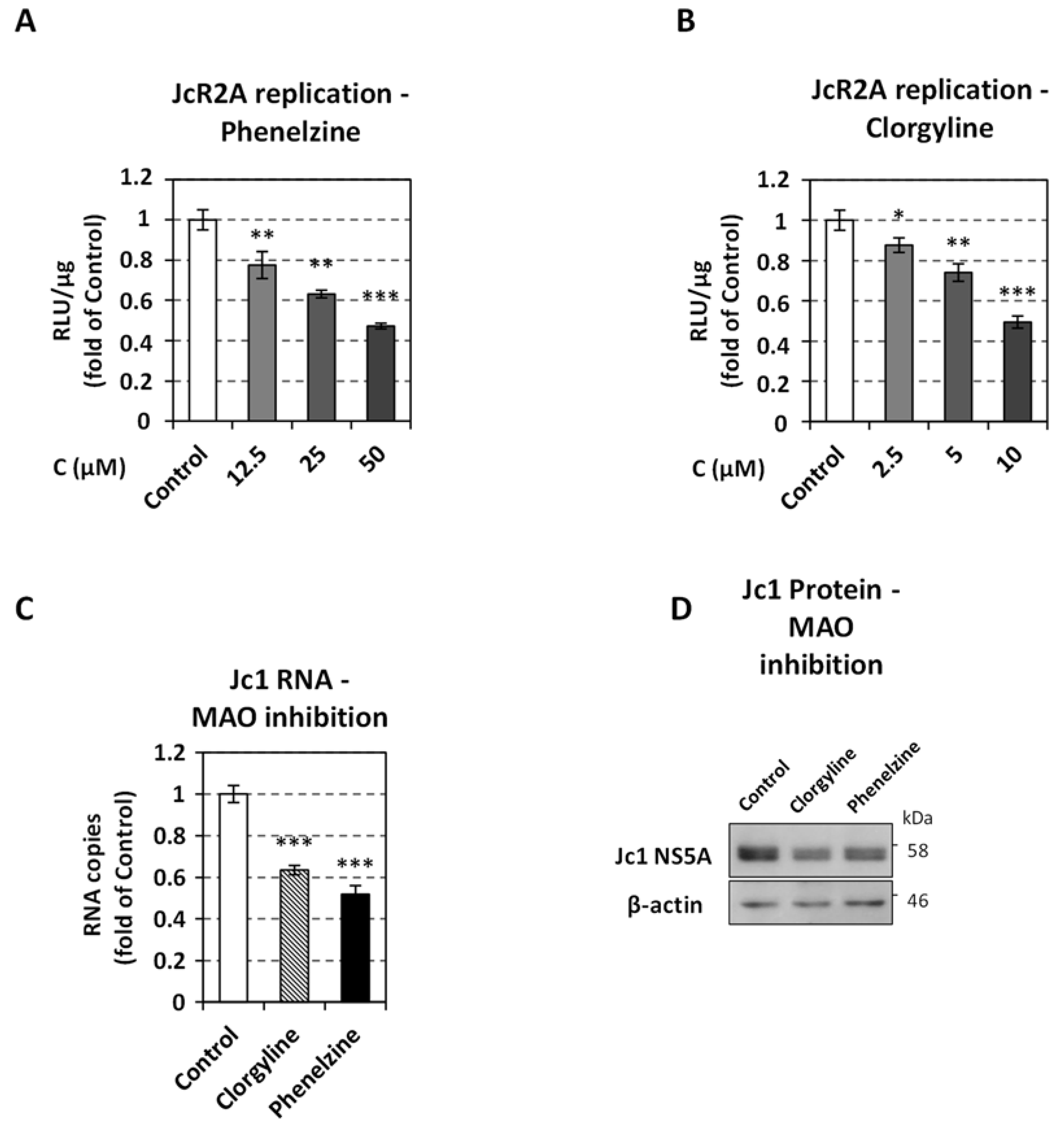 Viruses 13 02139 g005 Viruses 13 02139 g005