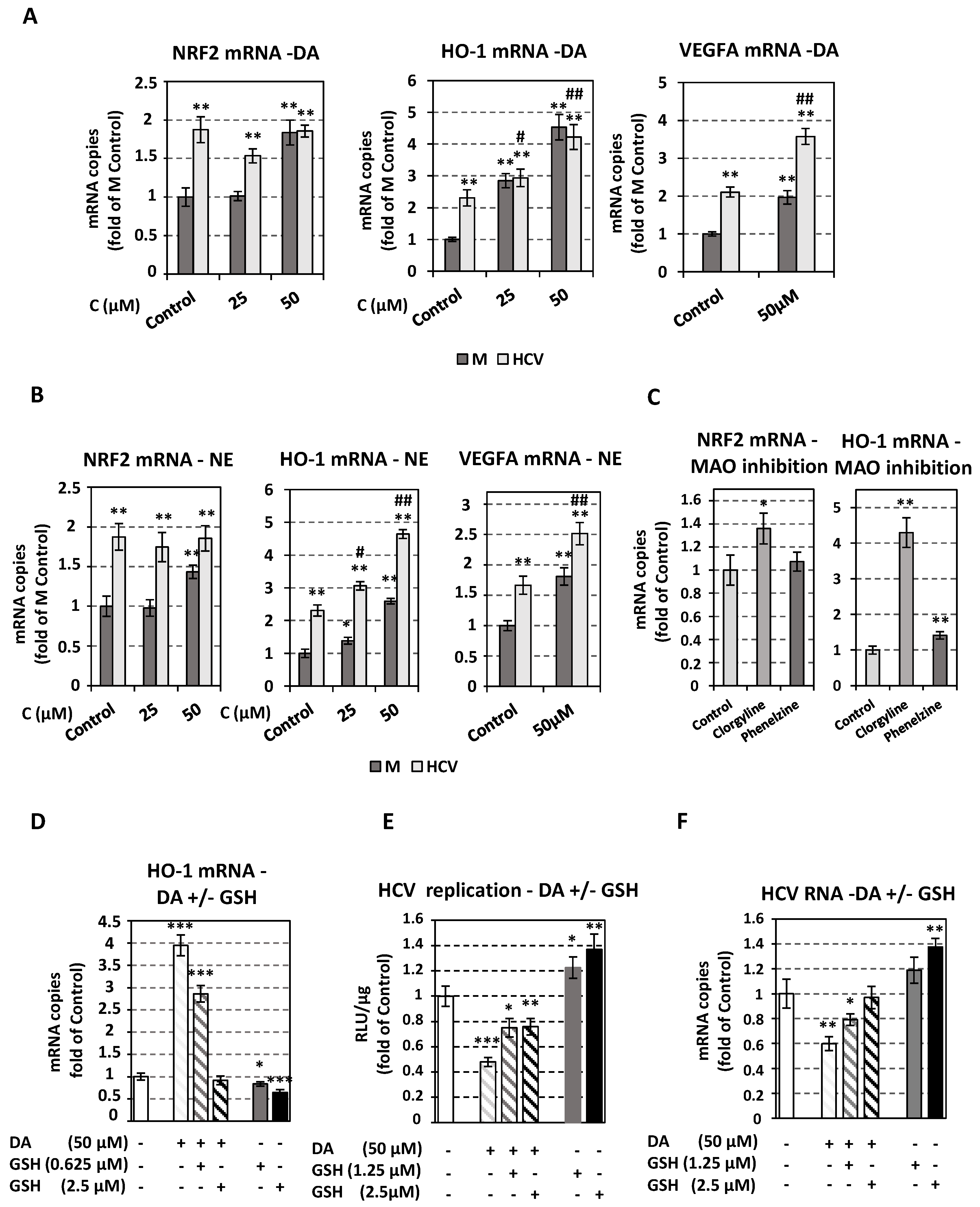 Viruses 13 02139 g007 Viruses 13 02139 g007
