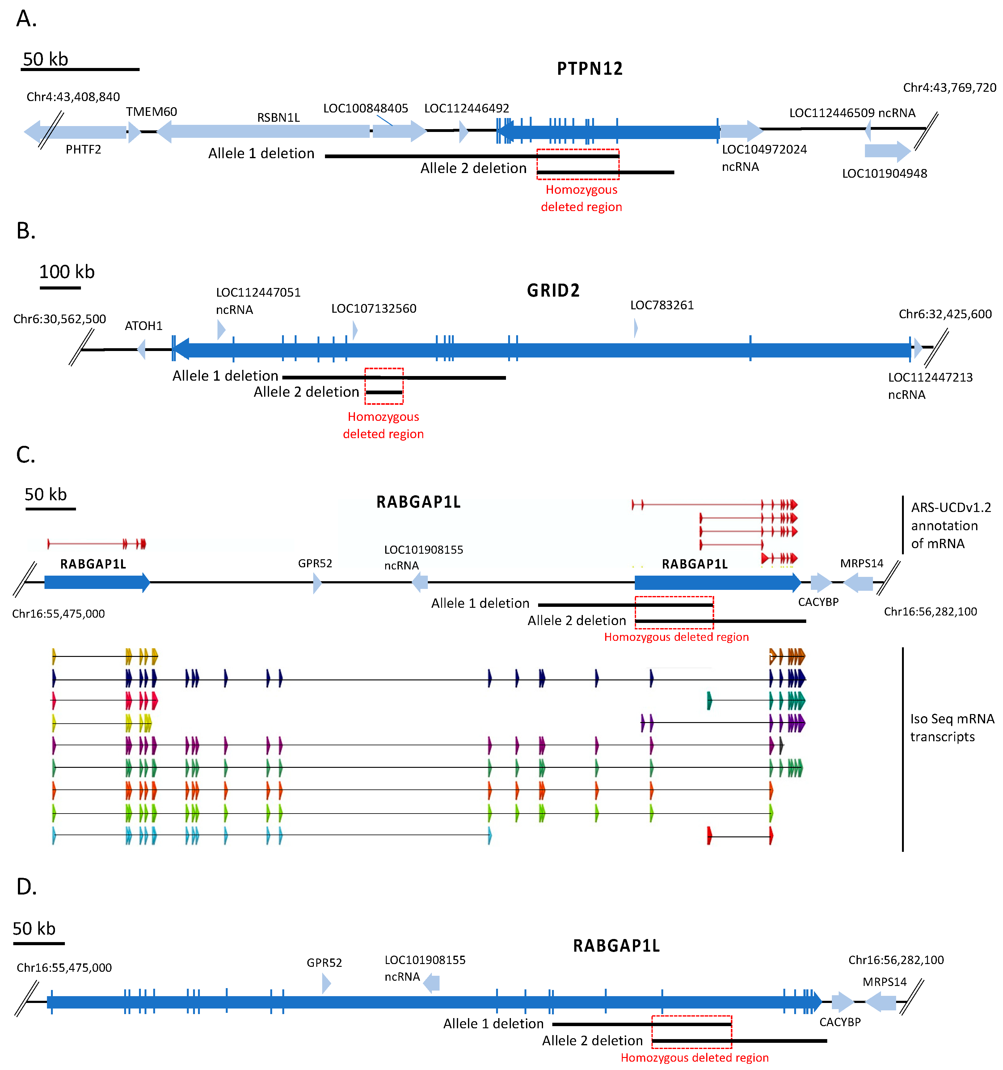 Viruses 13 02147 g001