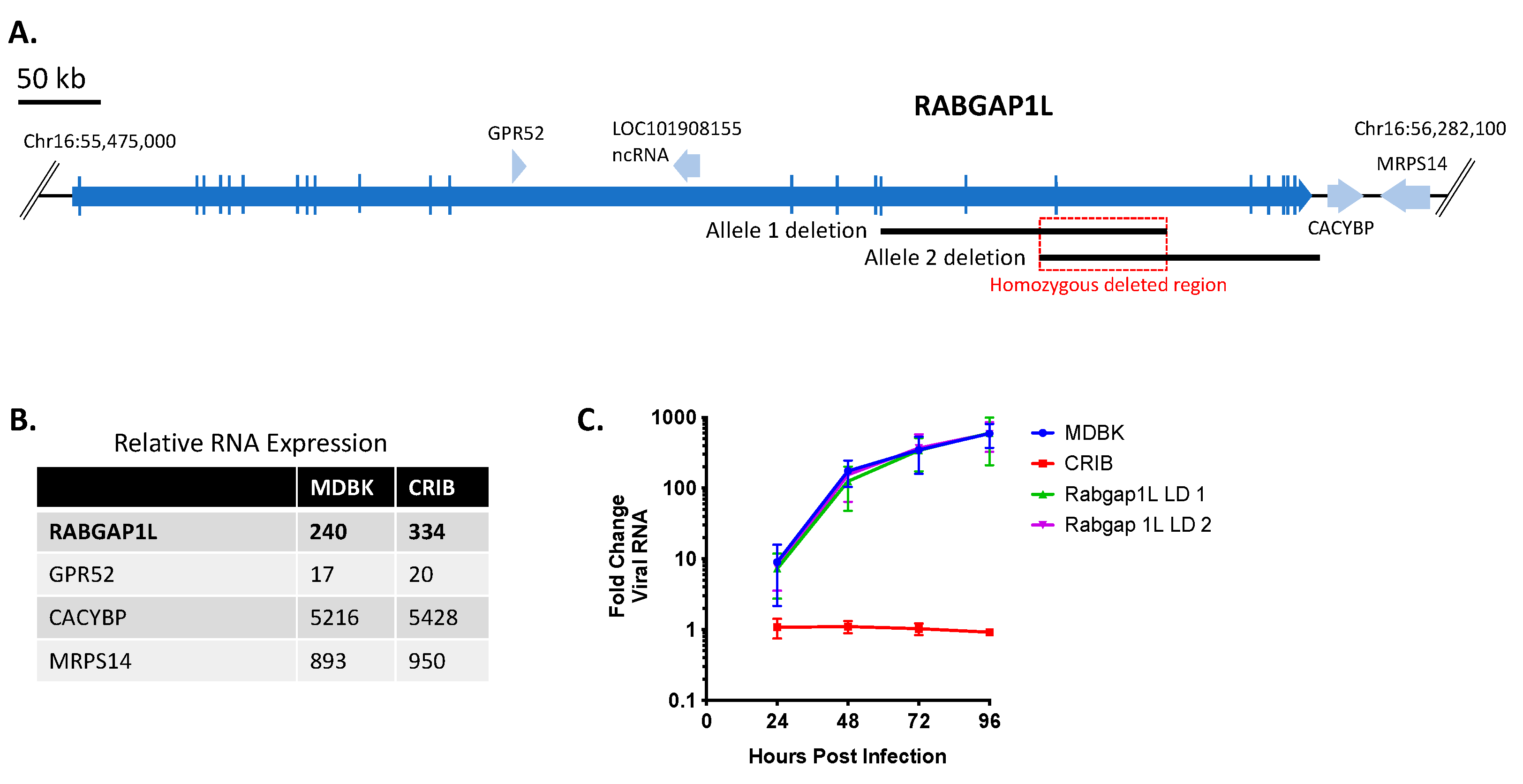 Viruses 13 02147 g004