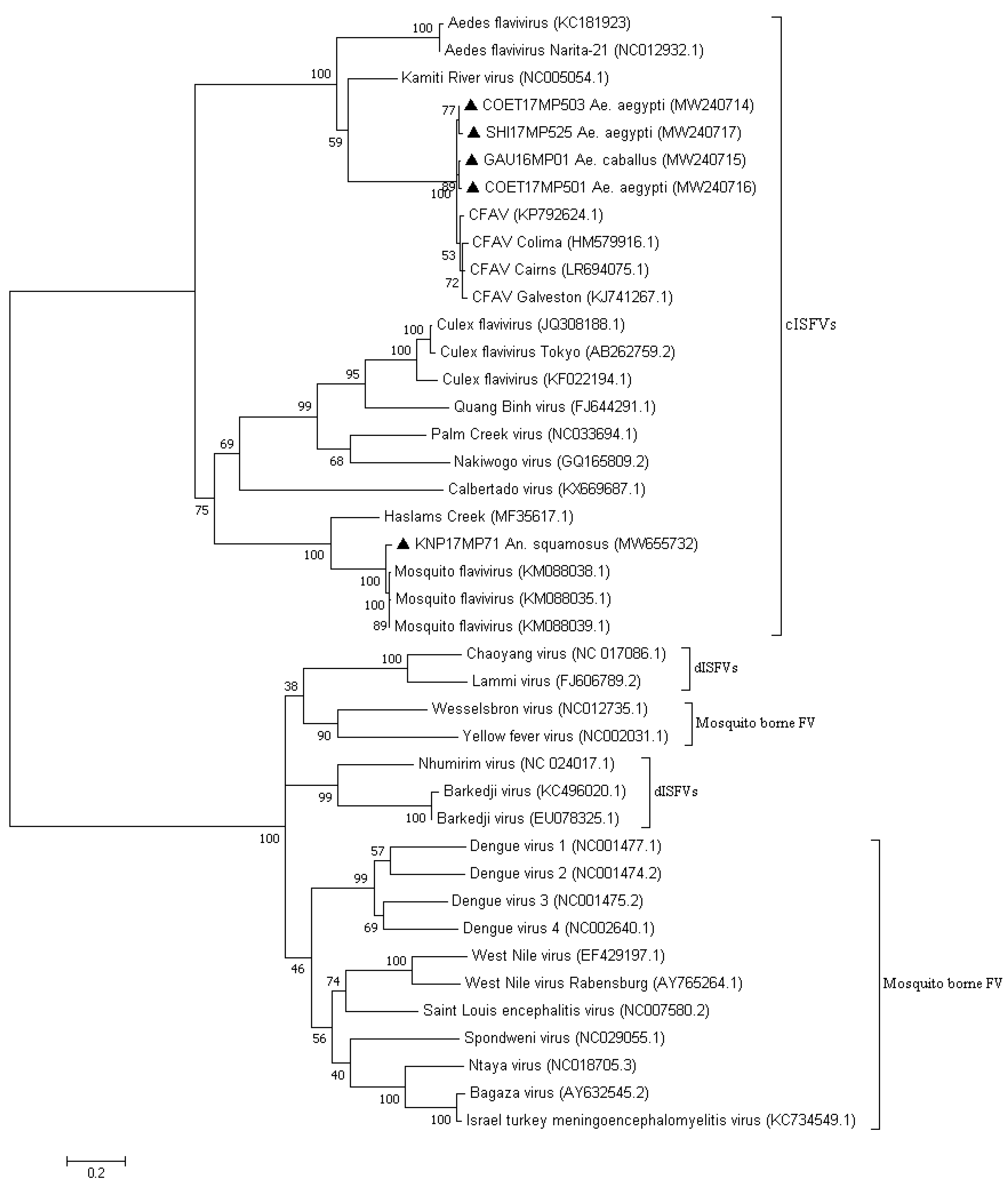 Viruses 13 02148 g002
