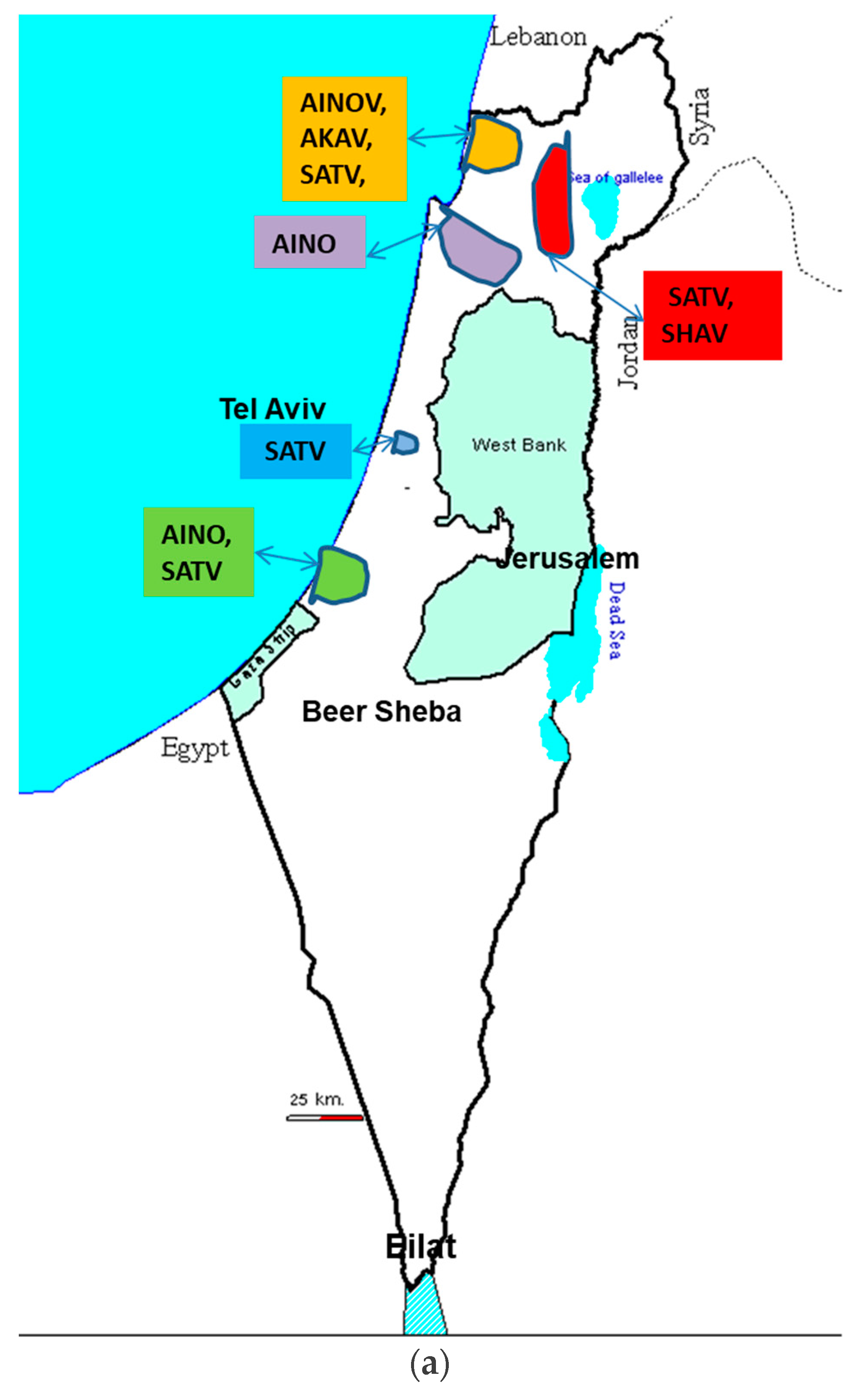 Viruses 13 02149 g004a