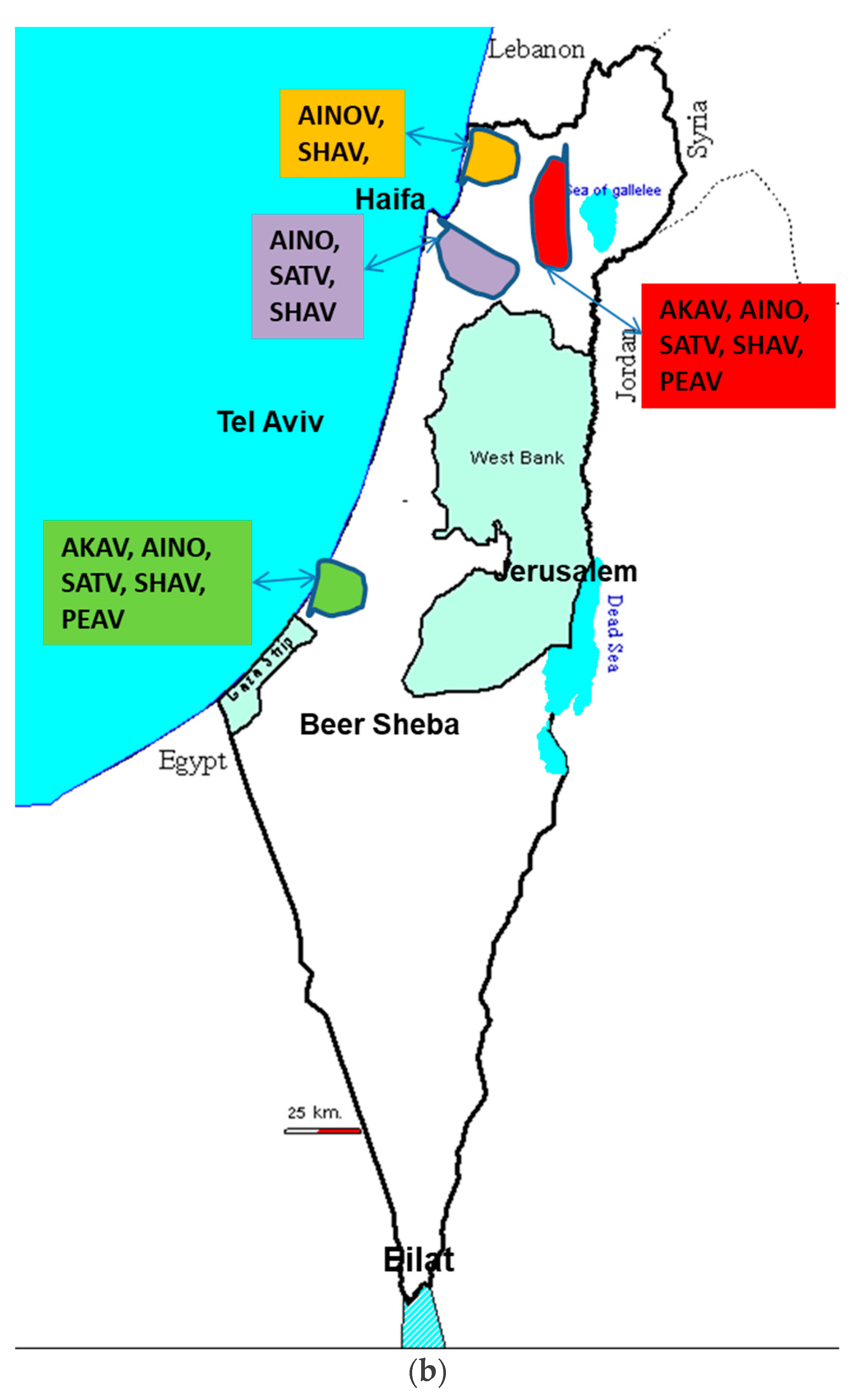 Viruses 13 02149 g004b