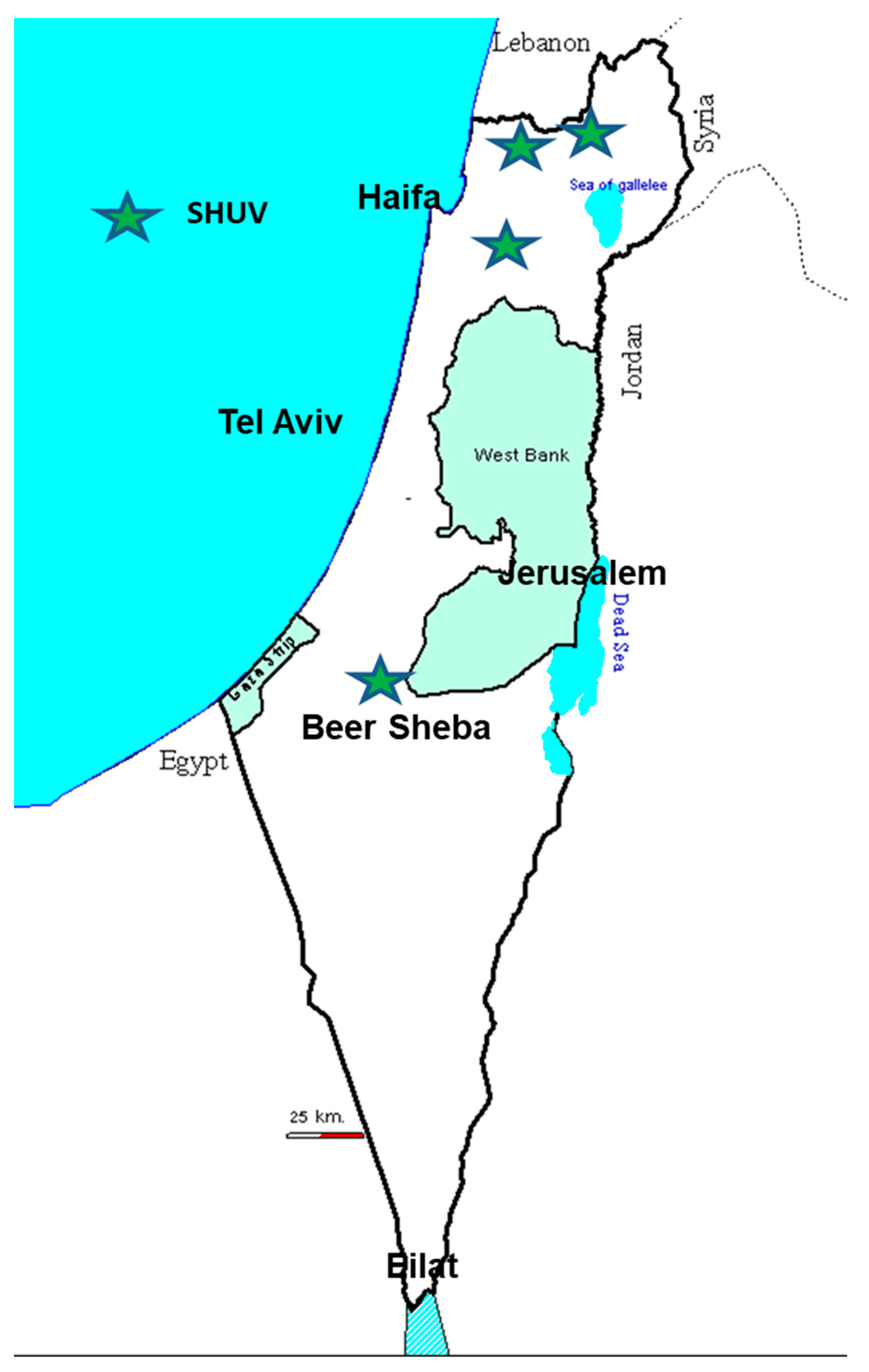 Viruses 13 02149 g005