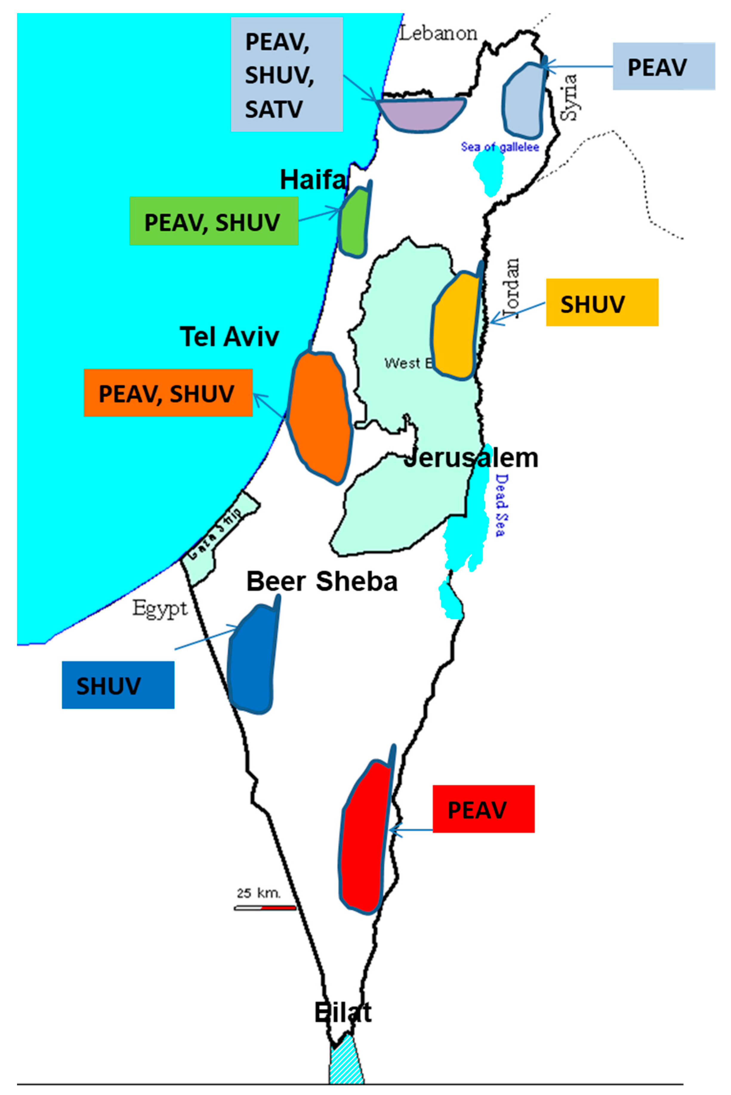 Viruses 13 02149 g006