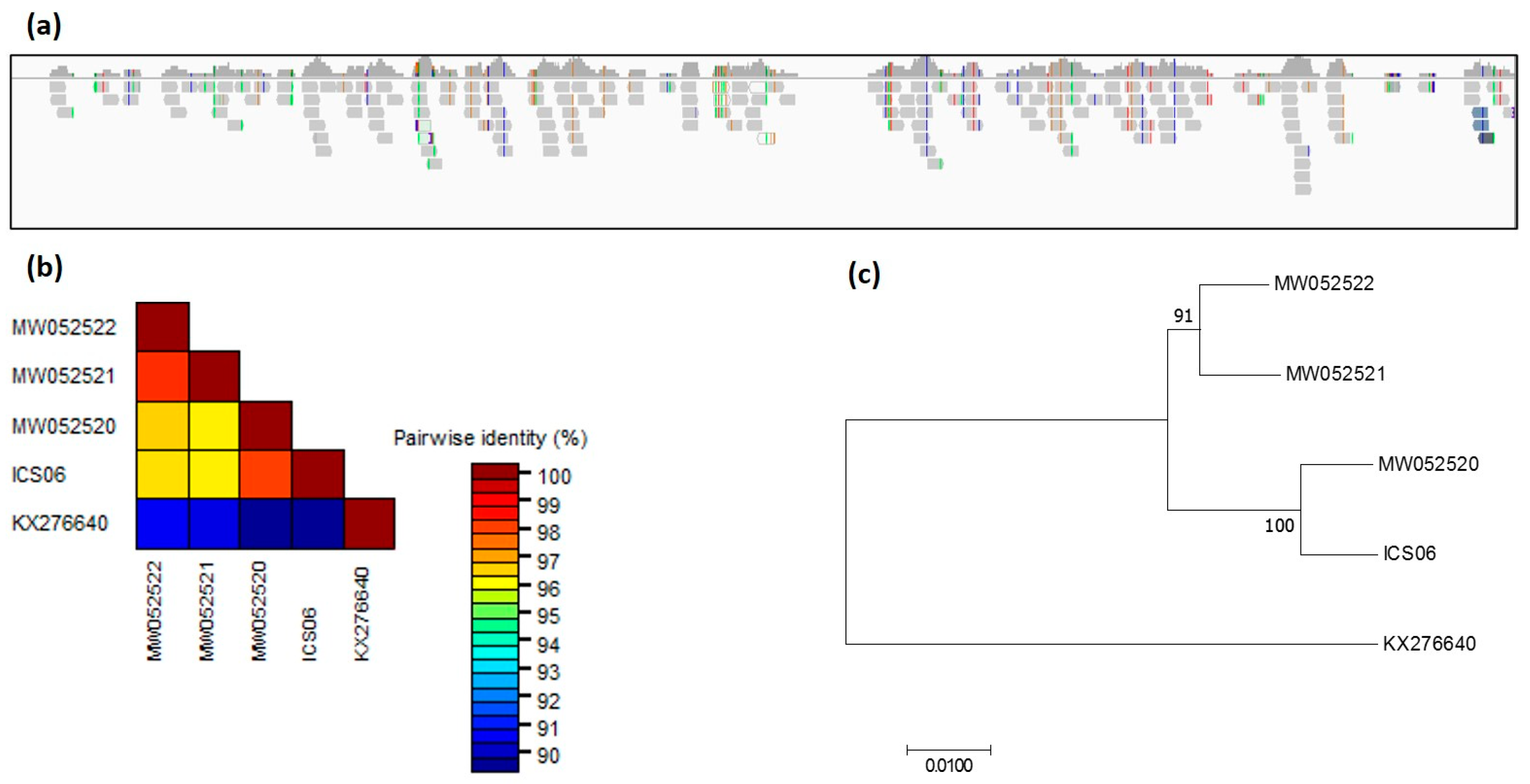 Viruses 13 02152 g007