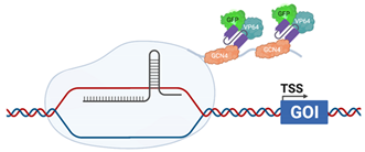 Viruses 13 02157 i006 Viruses 13 02157 i006