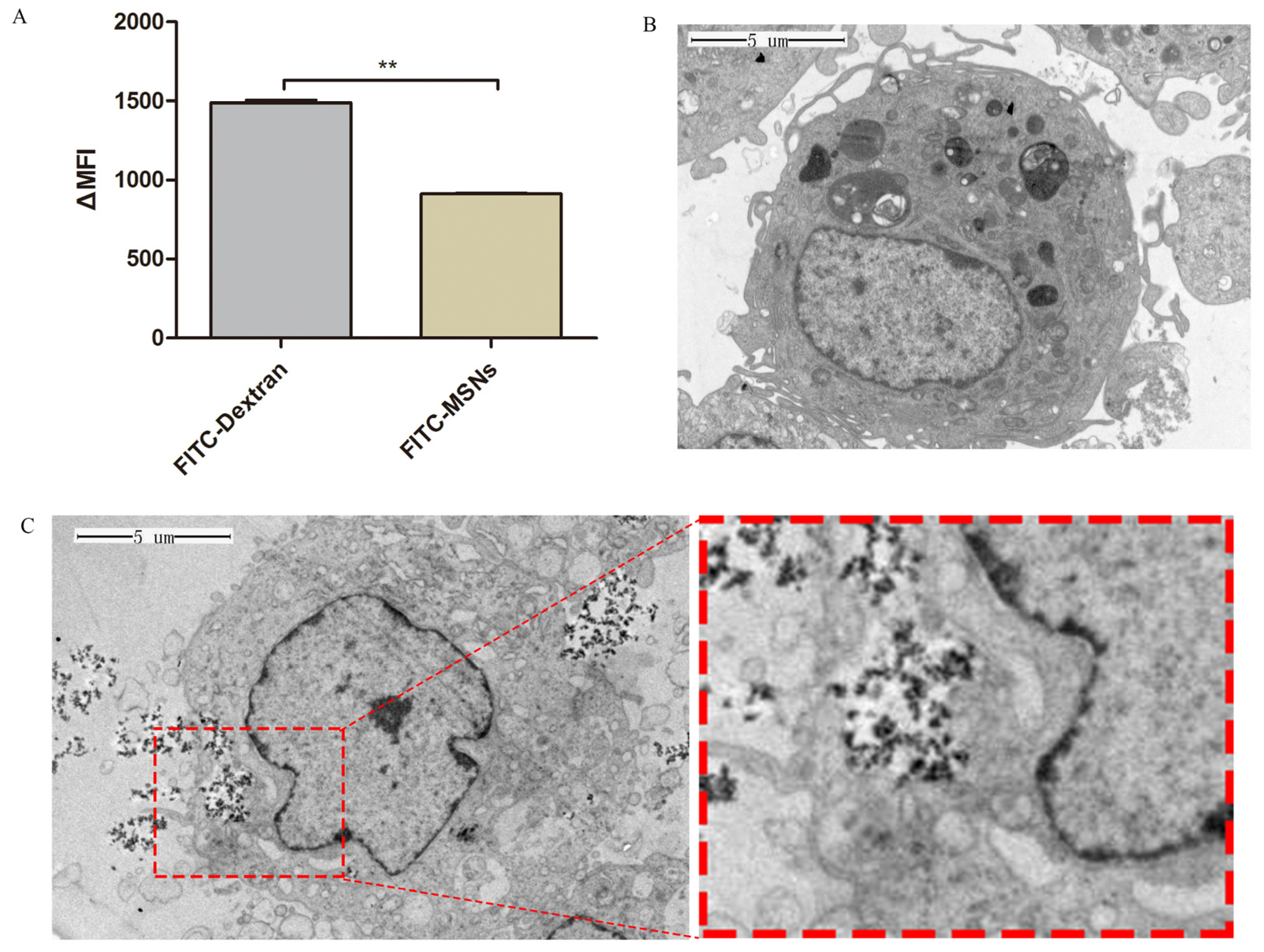 Viruses 13 02158 g003 Viruses 13 02158 g003