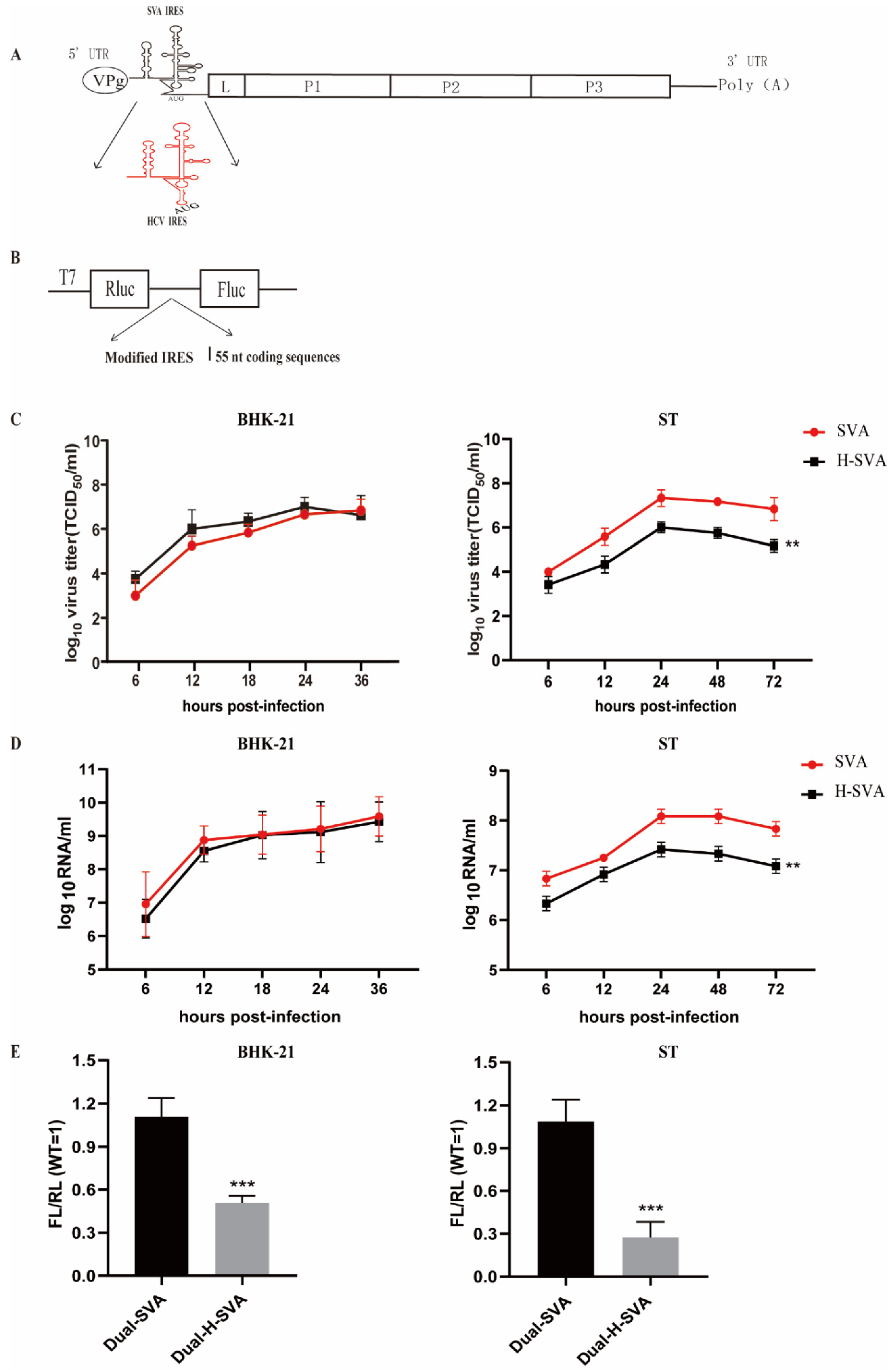 Viruses 13 02159 g001