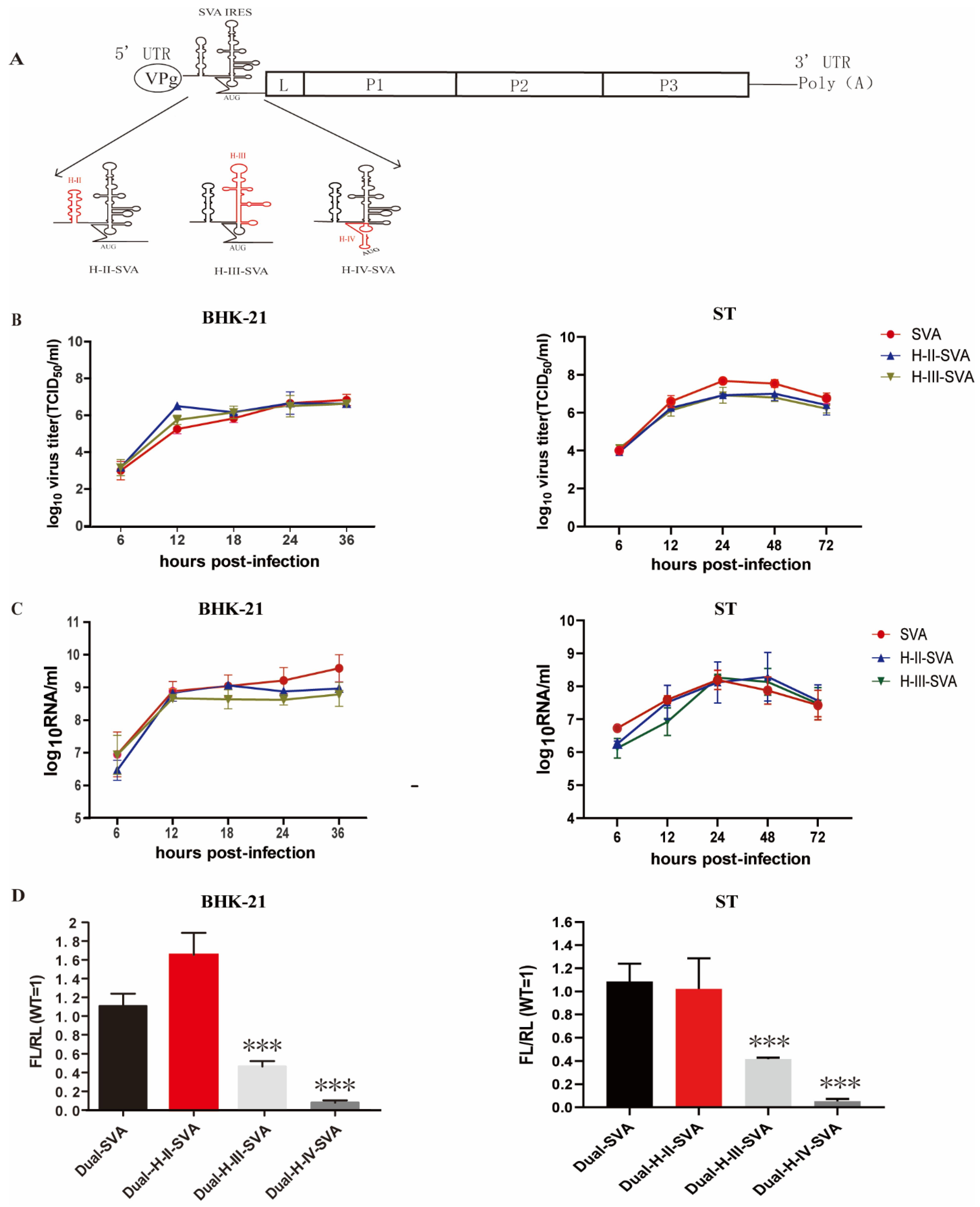 Viruses 13 02159 g002