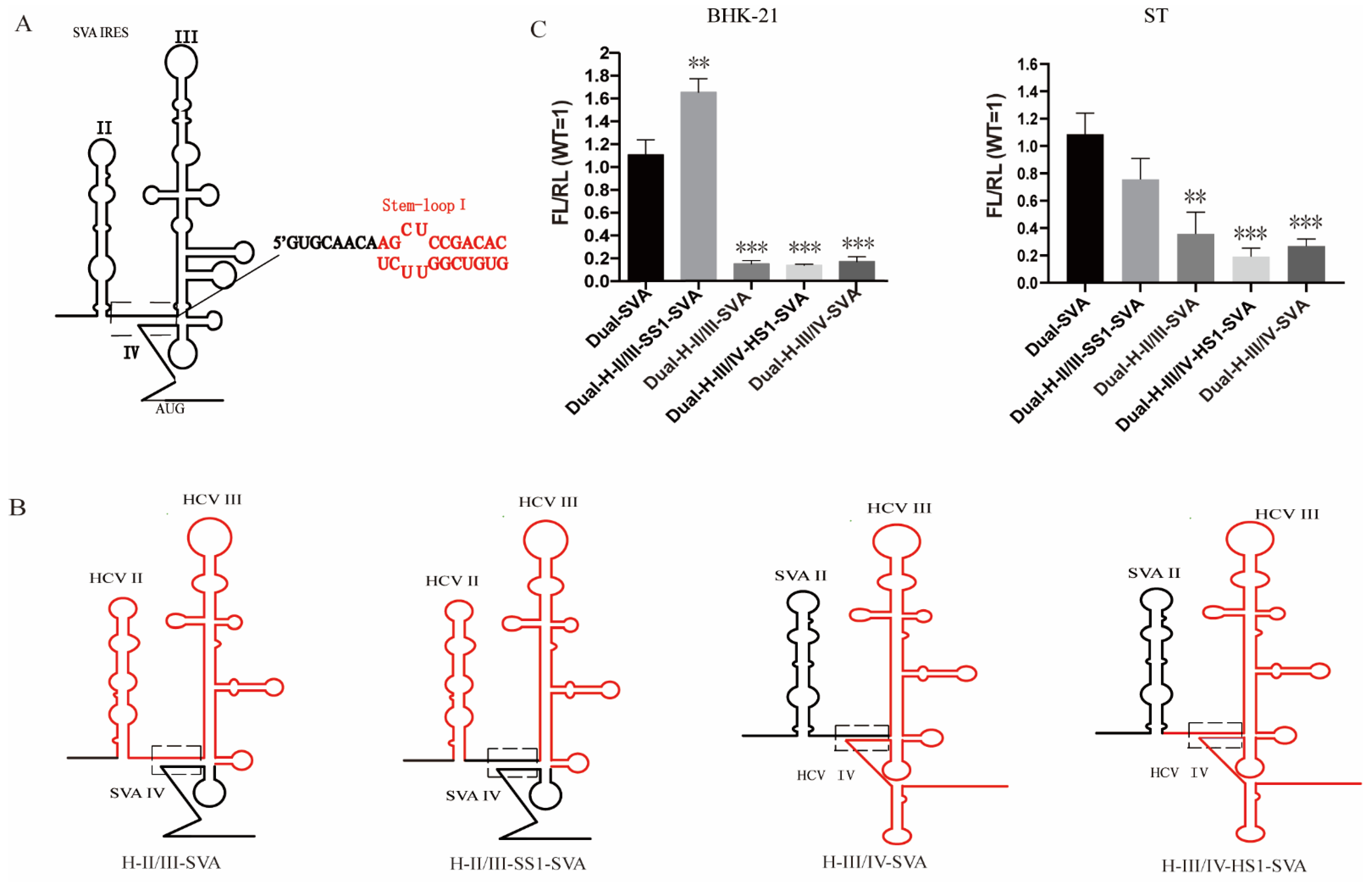 Viruses 13 02159 g003