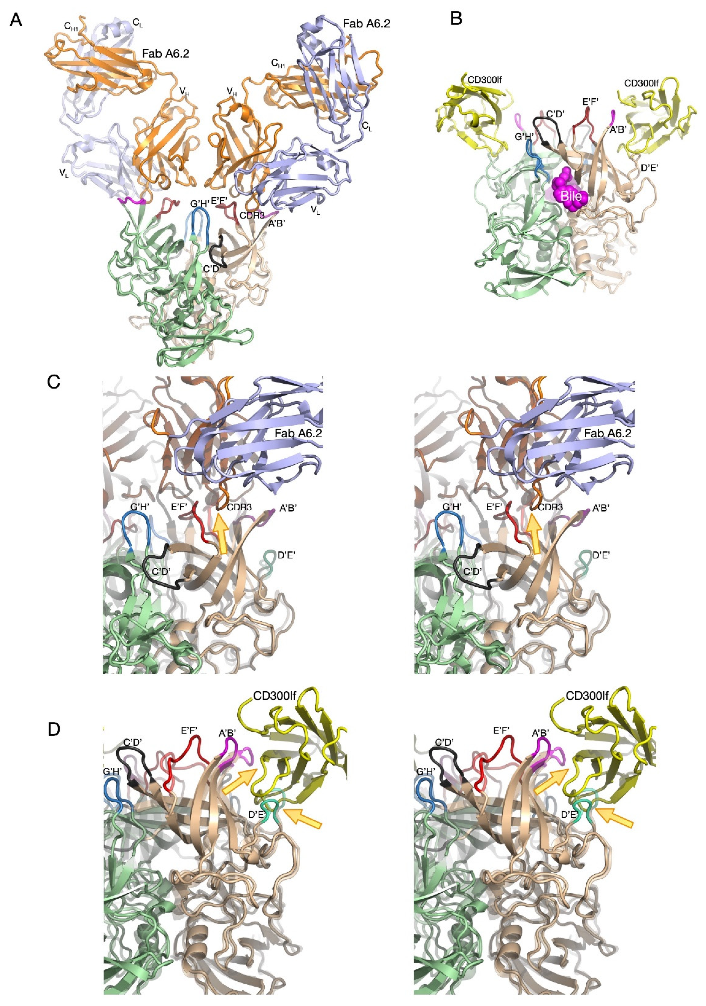Viruses 13 02162 g003 Viruses 13 02162 g003