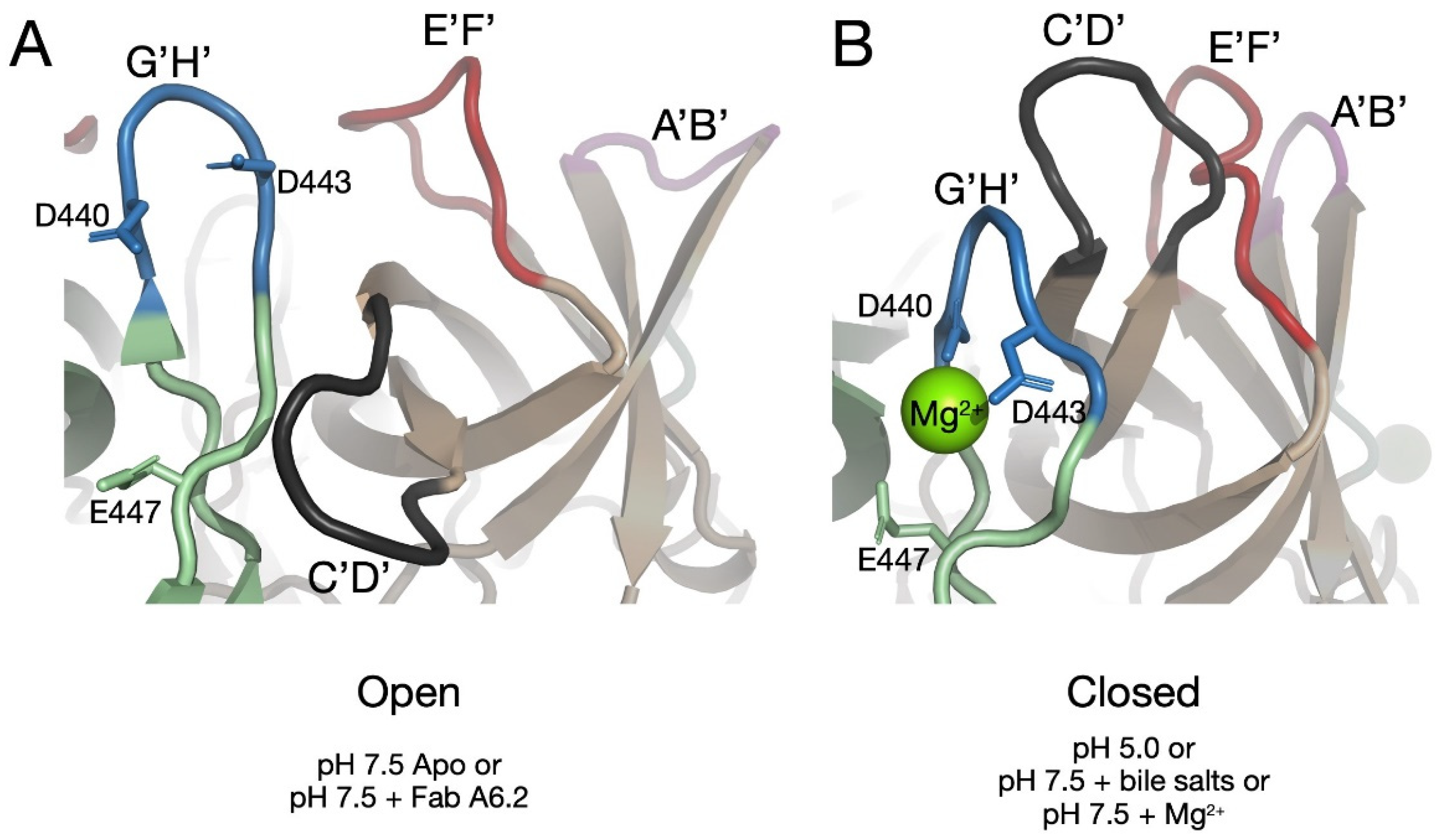 Viruses 13 02162 g004 Viruses 13 02162 g004