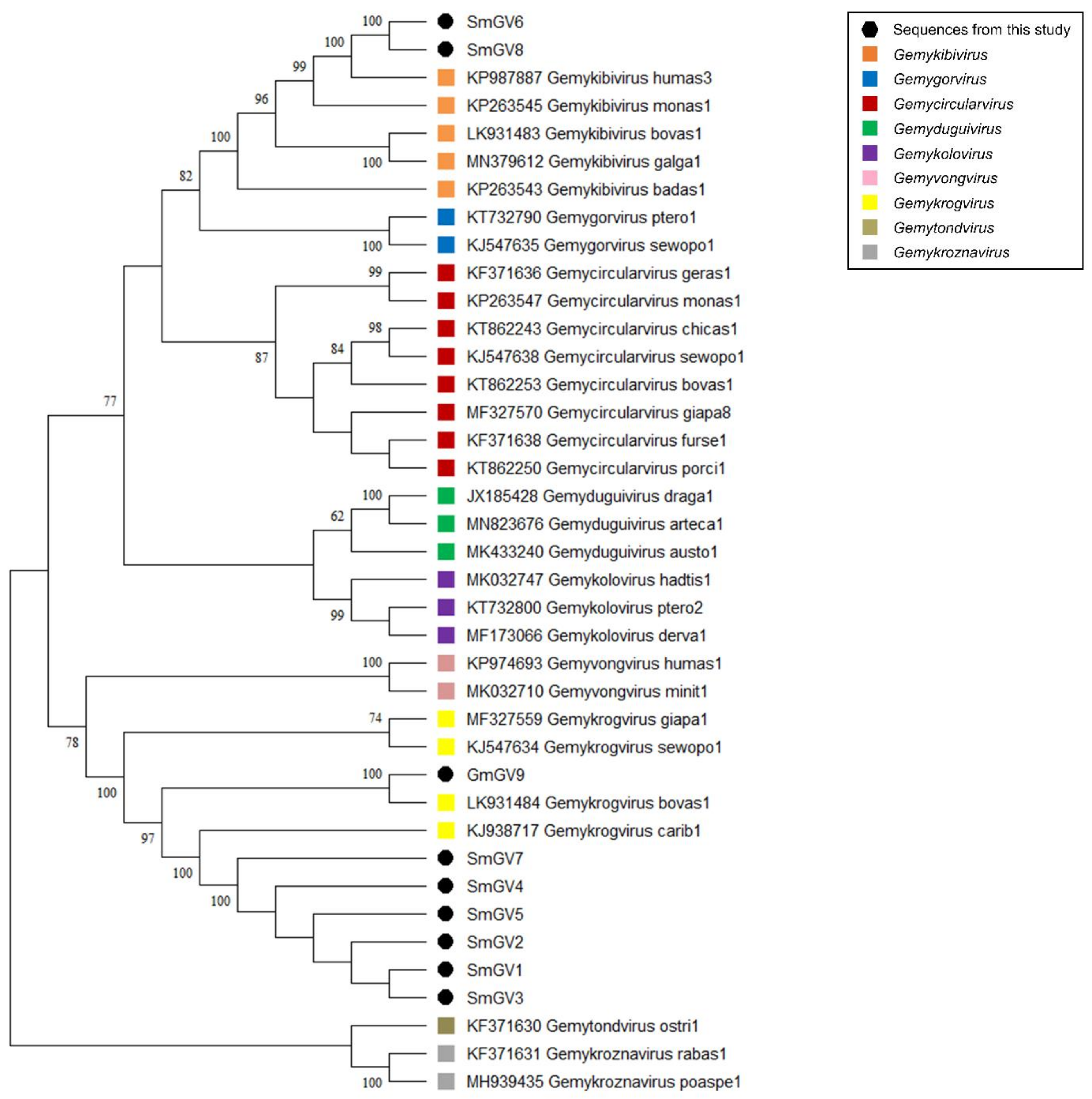 Viruses 13 02176 g002