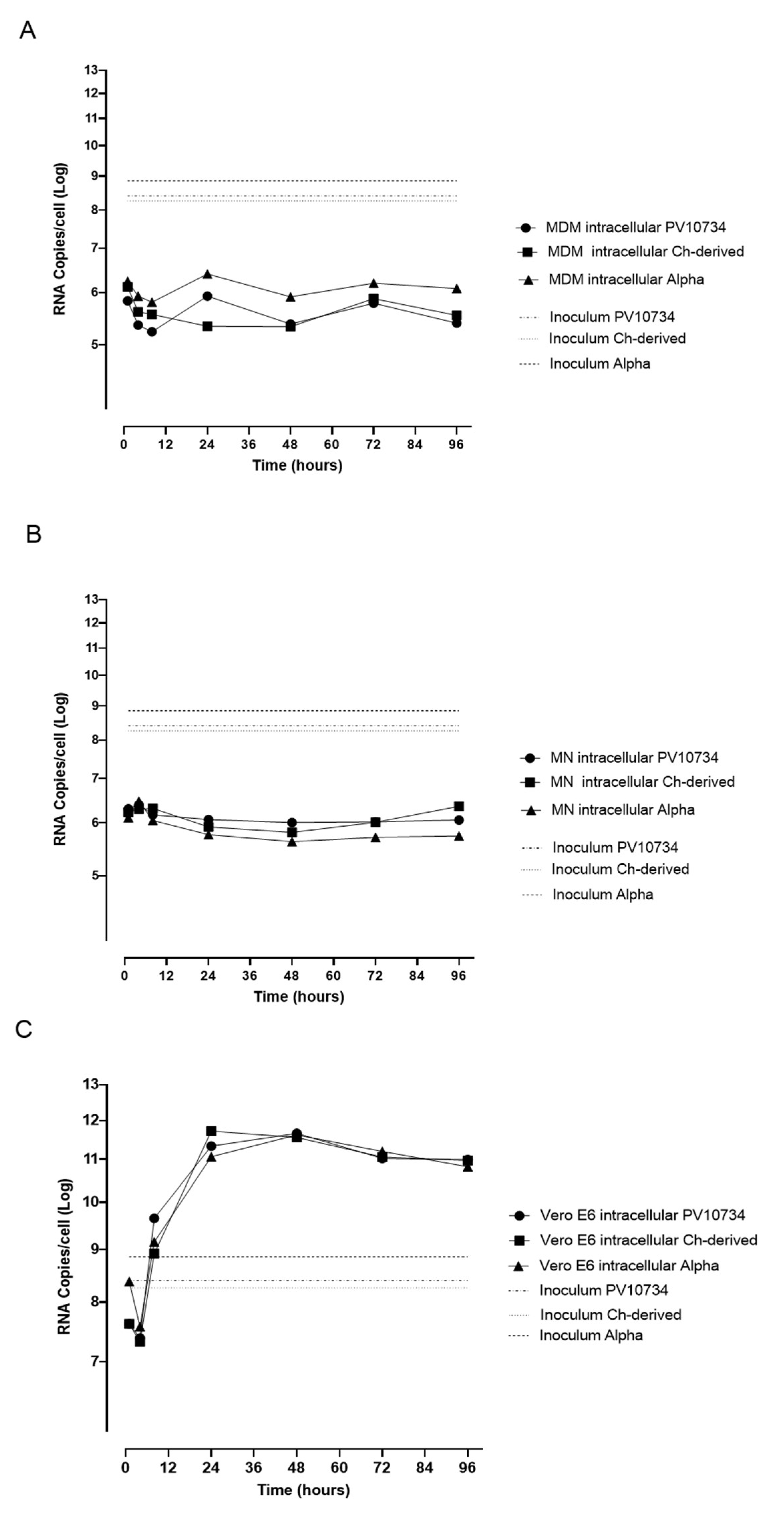 Viruses 13 02178 g003