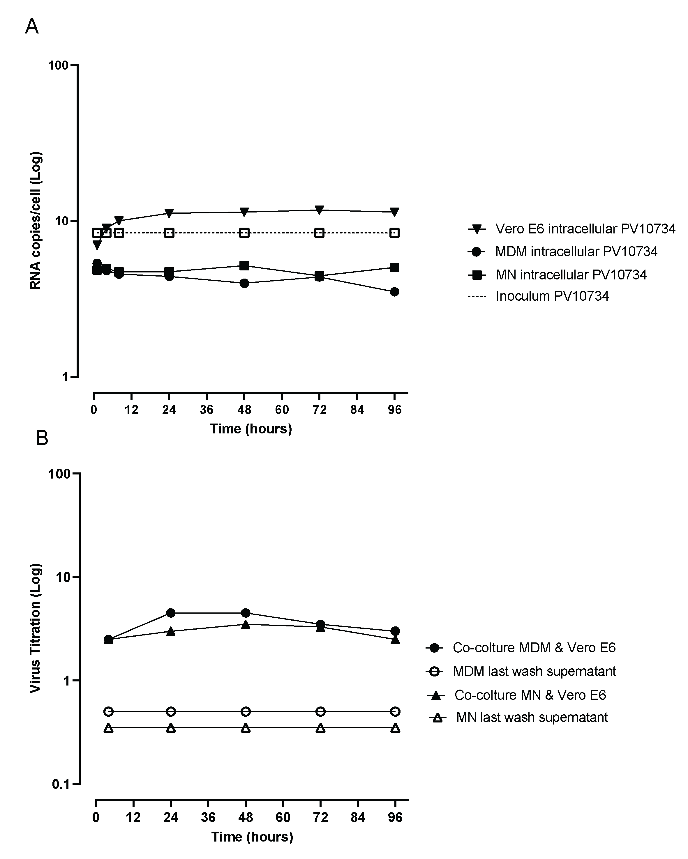 Viruses 13 02178 g004