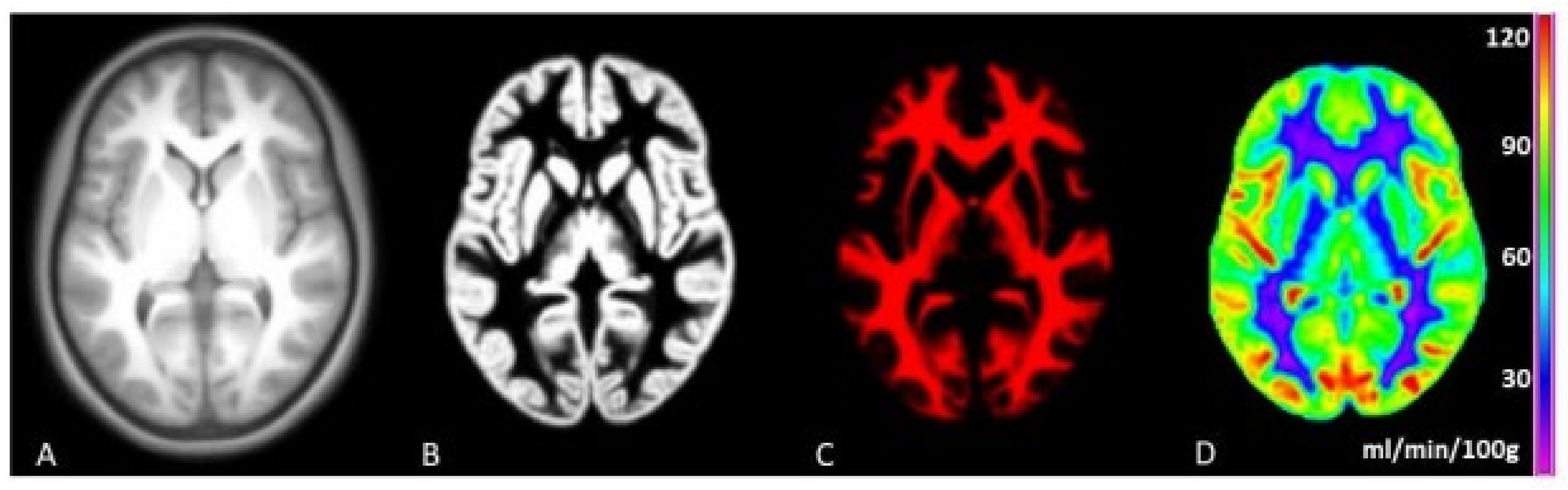 Viruses 13 02179 g001