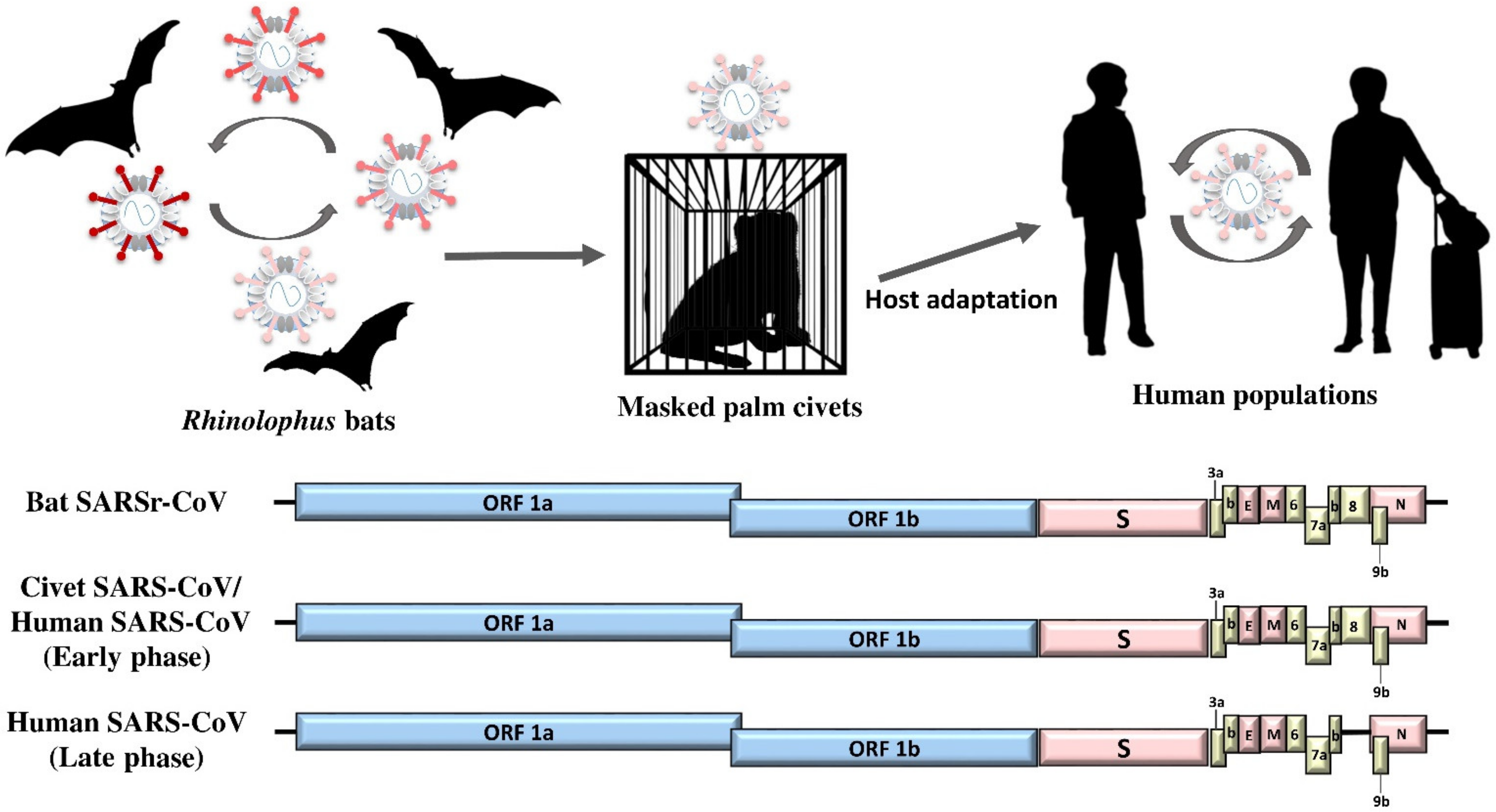 Viruses 13 02188 g001