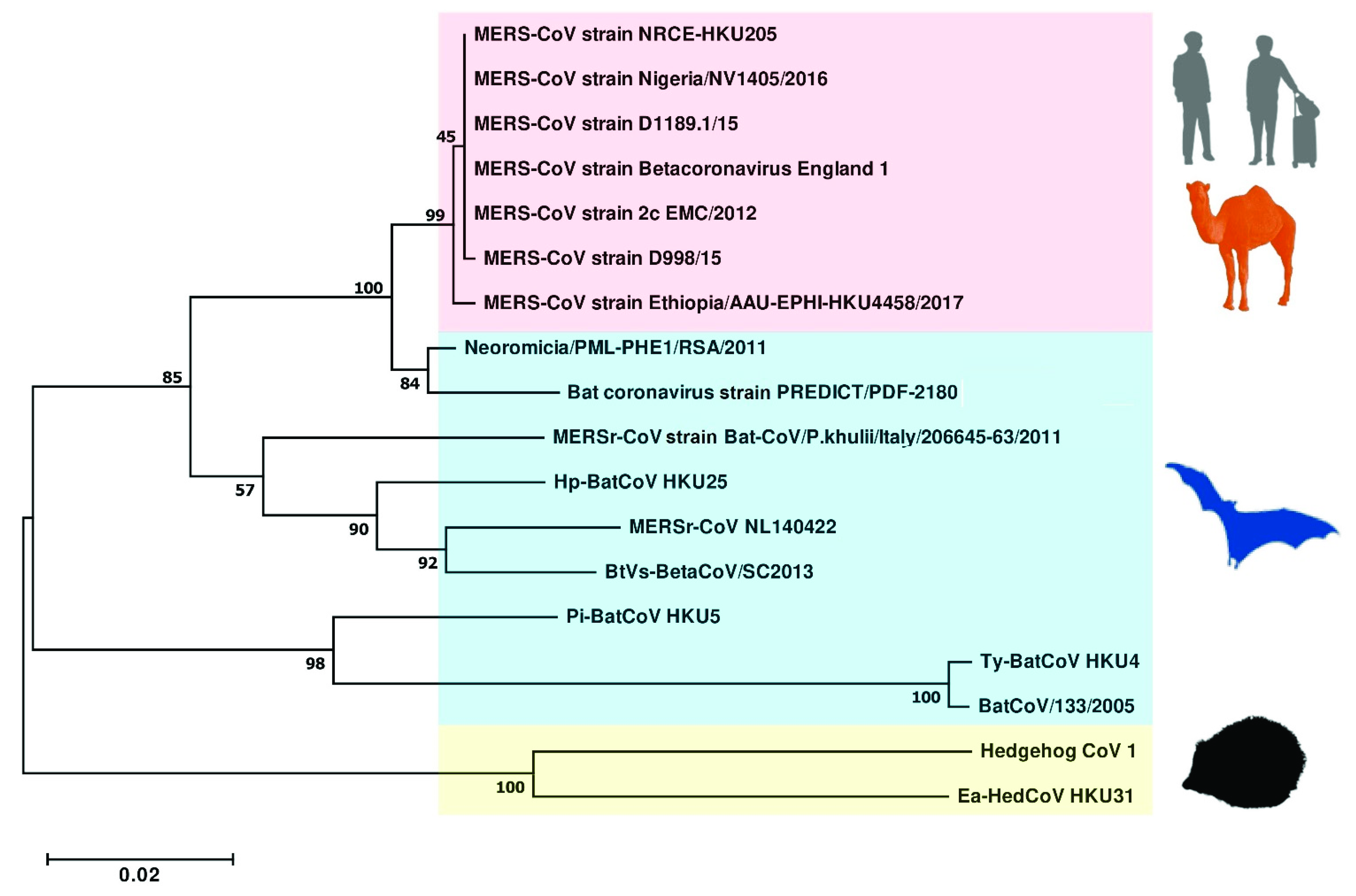 Viruses 13 02188 g004