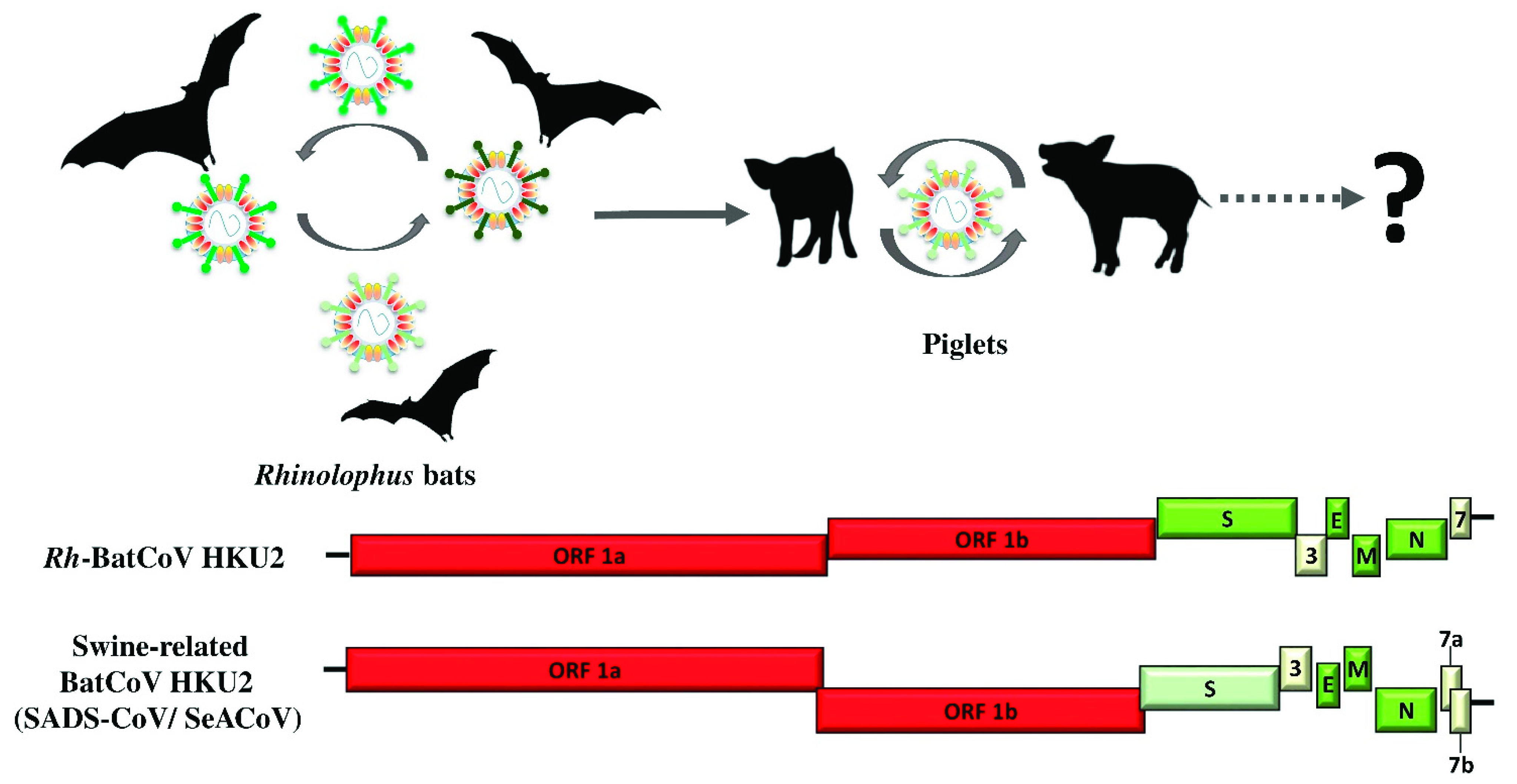 Viruses 13 02188 g005