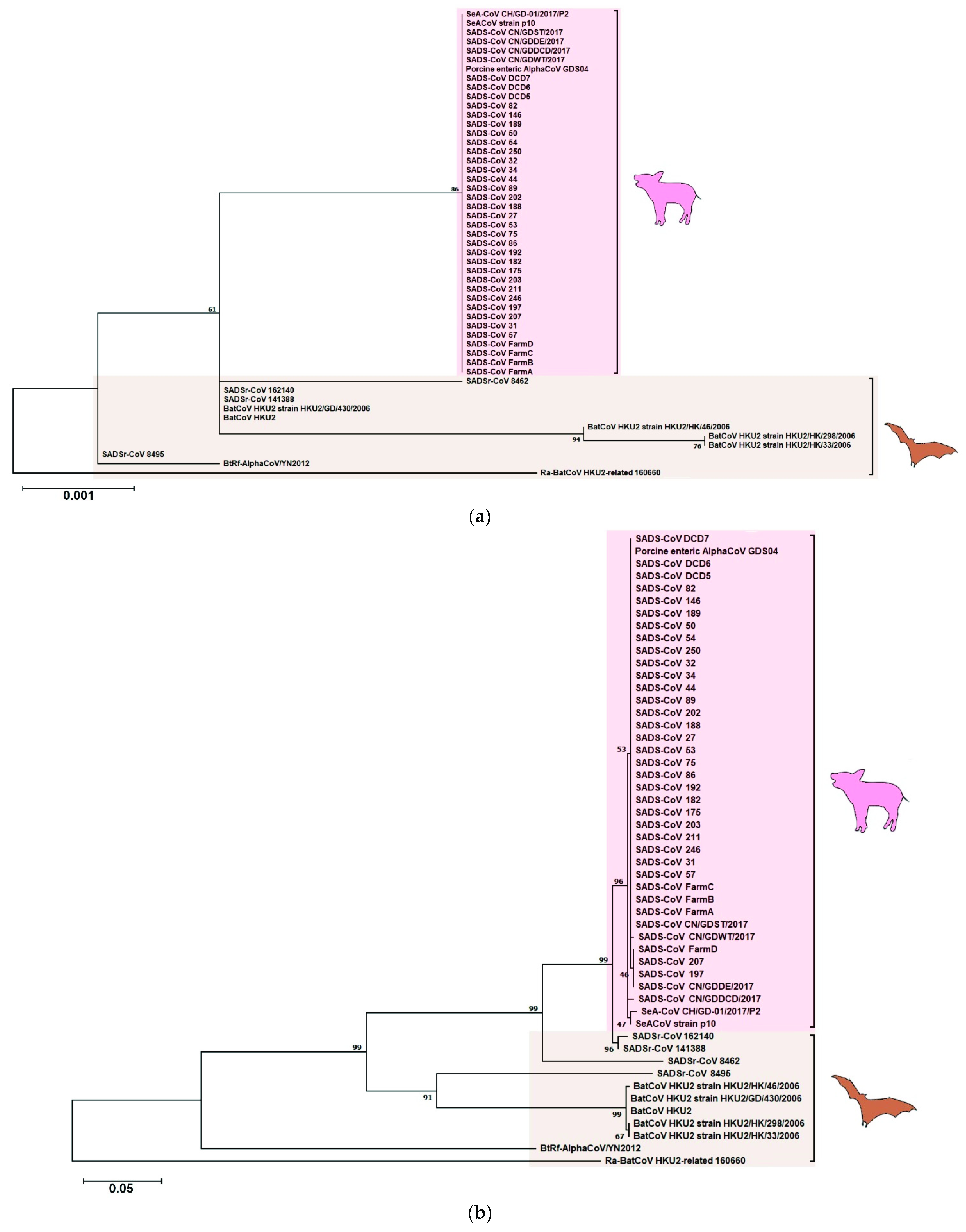 Viruses 13 02188 g006