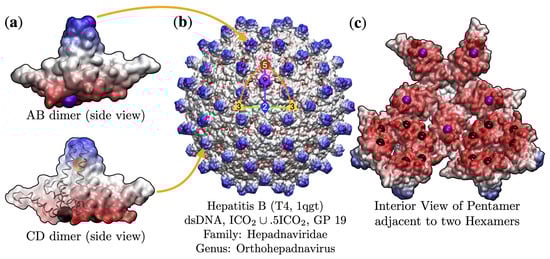 Viruses 13 02191 g002