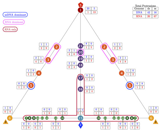 Viruses 13 02191 g006