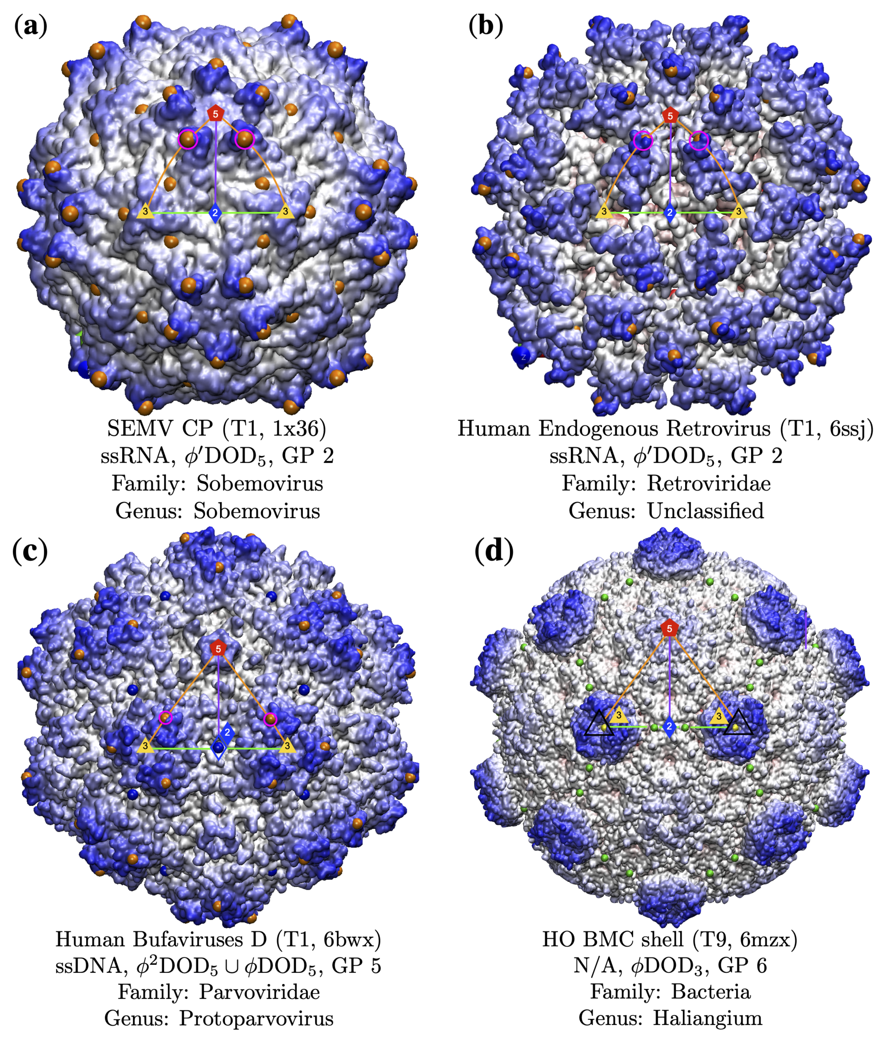 Viruses 13 02191 g008