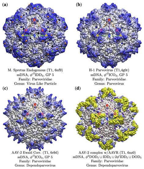 Viruses 13 02191 g009