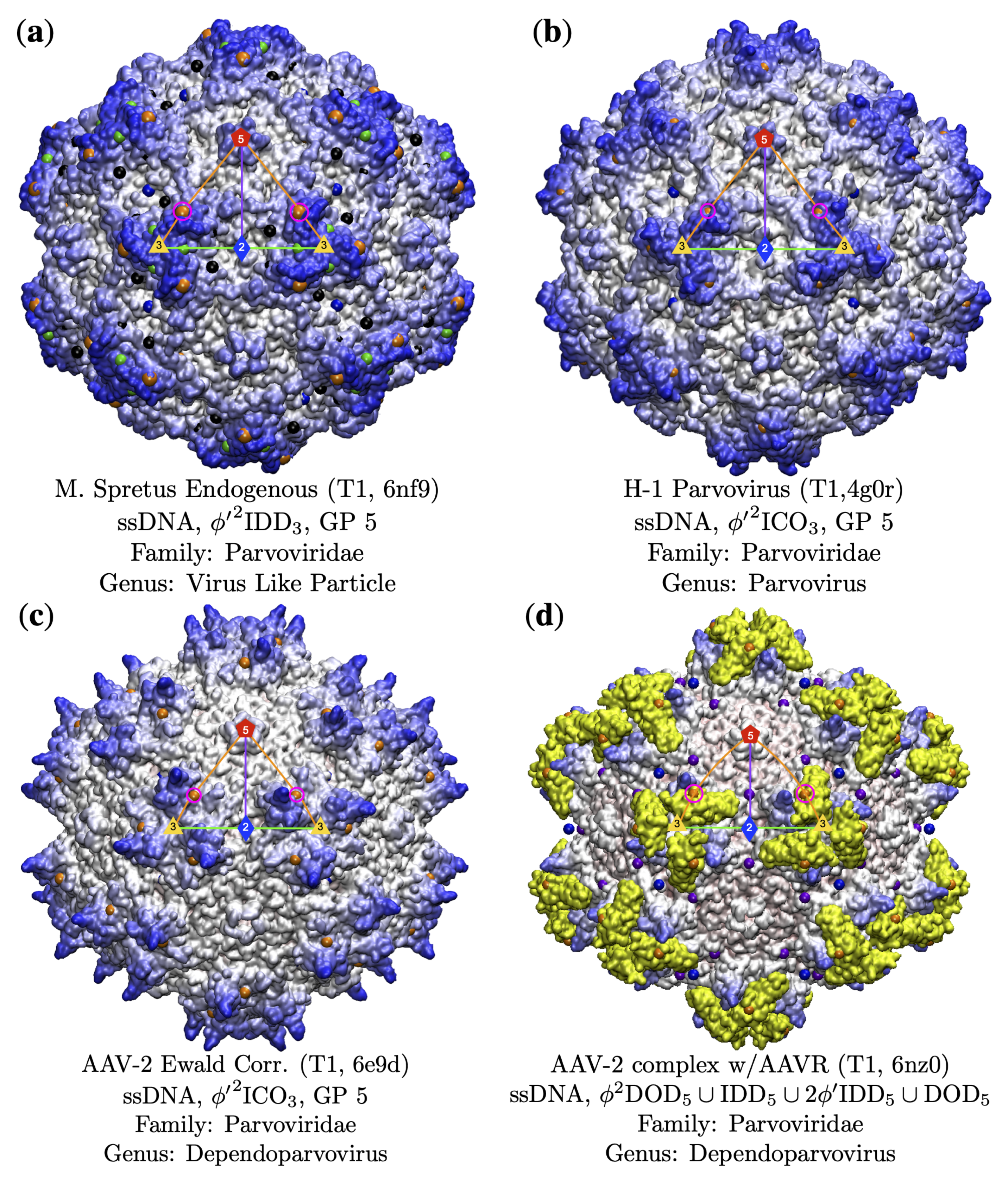 Viruses 13 02191 g009